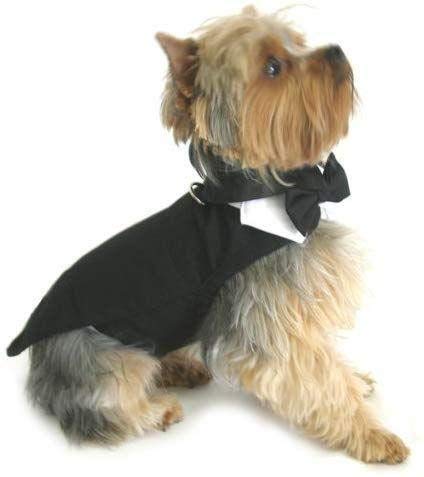 Black Dog Harness with Tuxedo & Tails Bow Tie - Adjustable Cotton Collar for Small Medium Large Dogs - Perfect for Weddings, Parties & Special Occasions