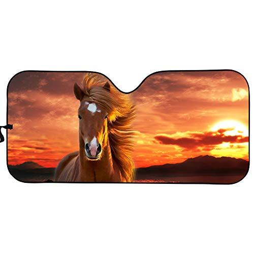 Horse-dusk