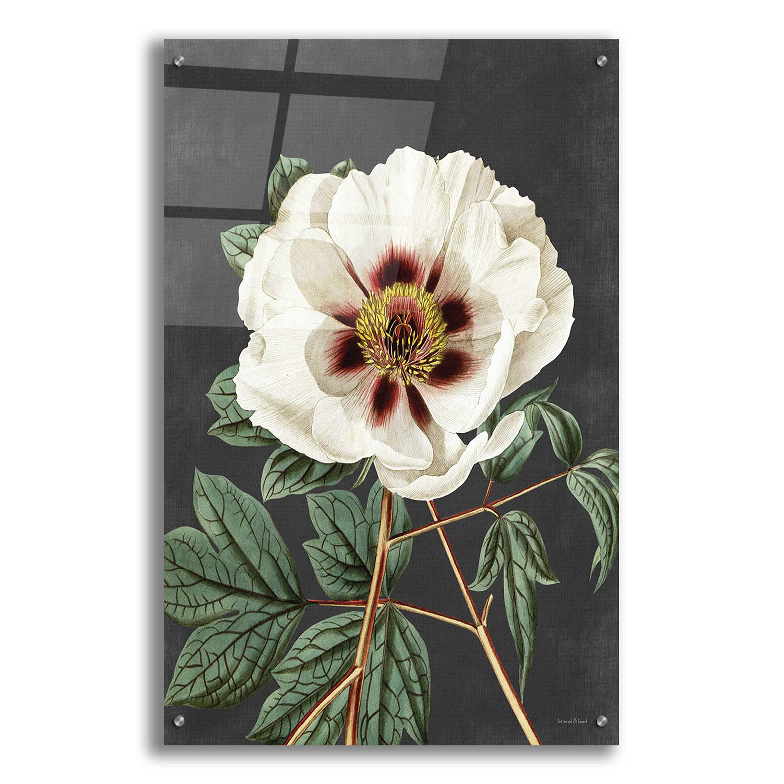 Vintage Rose Acrylic Glass Wall Art - 24