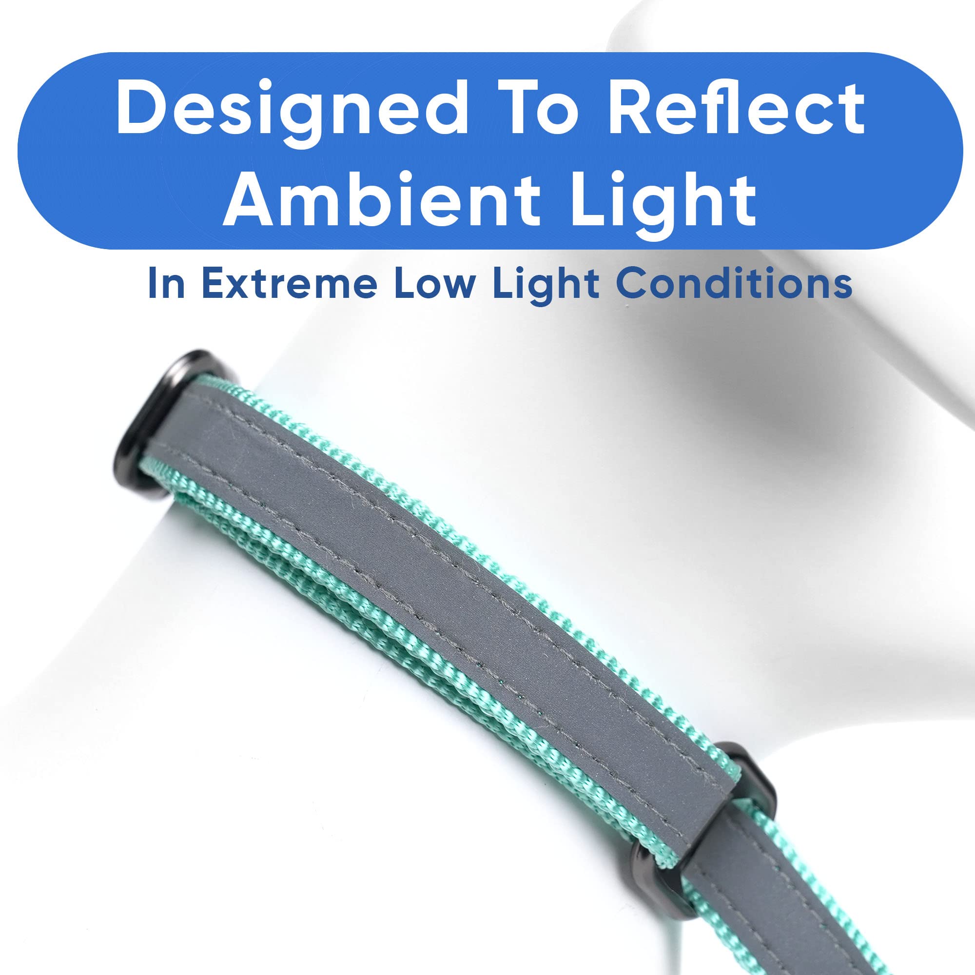**Pawtitas Martingale Dog Collar - Reflective, Adjustable Puppy Training Collar for Small Dogs - Teal Color - Perfect for Walks, Night Safety & Behavioral Training**