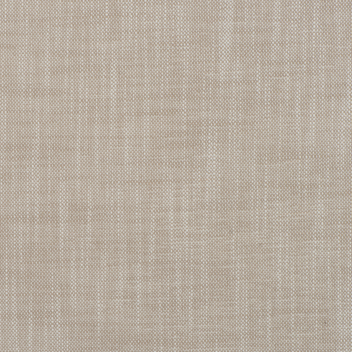Insideout Frances Swell Mag Fabric - Soft & Durable Fabric for DIY Crafts, Home Decor & Fashion Projects | Perfect for Sewing, Quilting & Upholstery