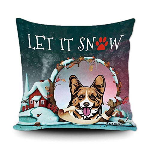 Pembroke Welsh Corgi-3