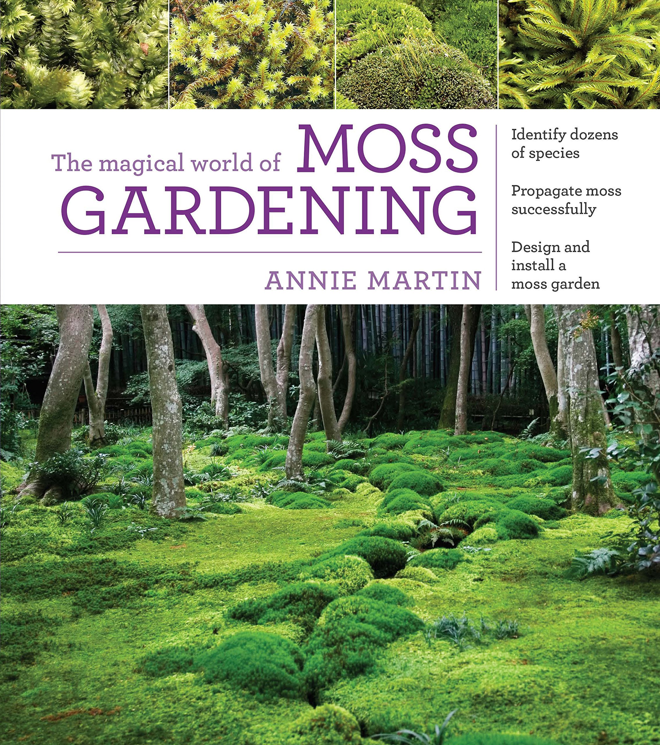 Magical Moss Gardening Kit - DIY Terrarium & Fairy Garden Supplies for Home Decor, Office Desk & Indoor Plants | Perfect for Beginners & Plant Enthusiasts