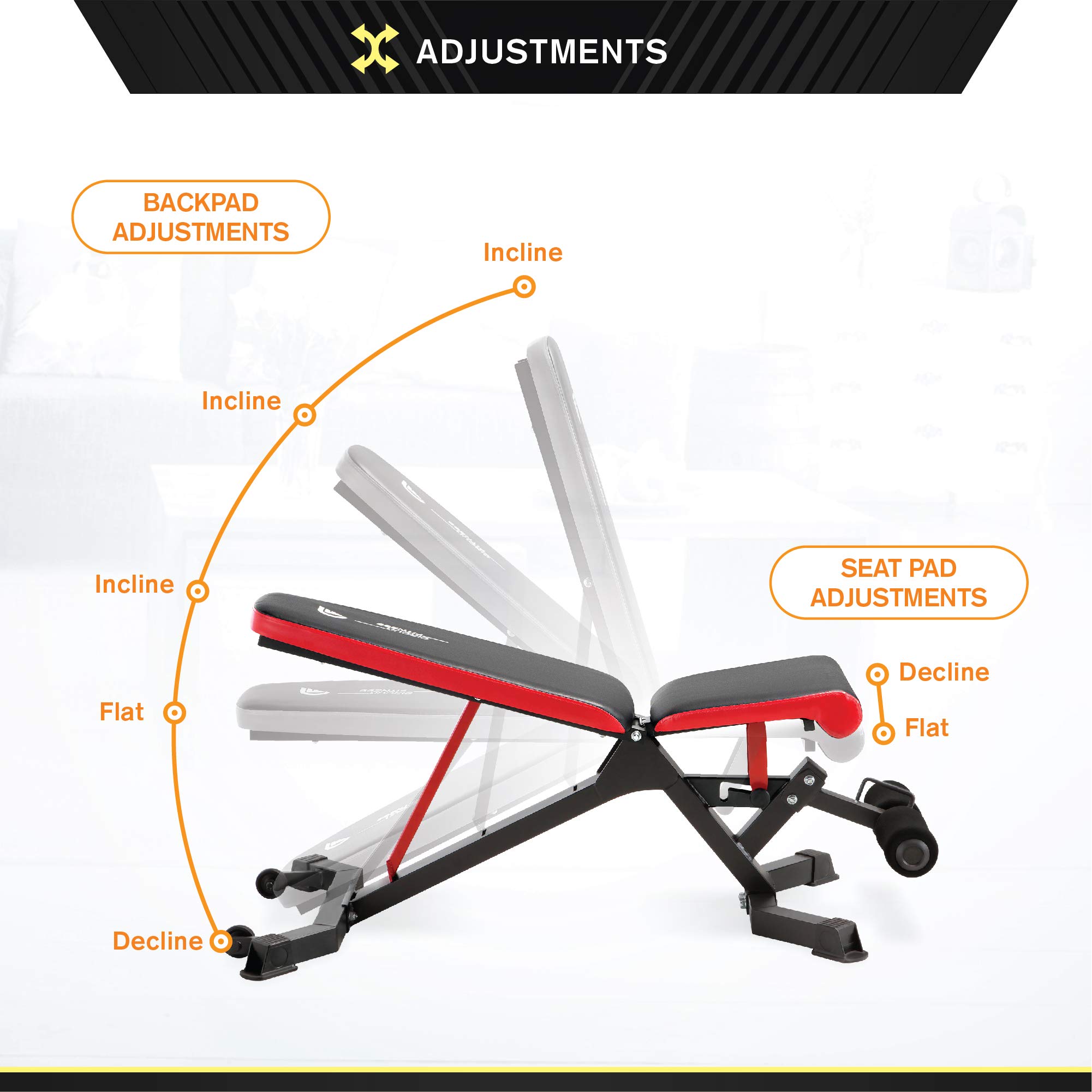 Circuit Fitness 5-Position Adjustable Weight Bench with Padded Seat & Backrest - Heavy Duty Home Gym Equipment for Strength Training, Dumbbell Workouts & Full Body Exercises - Perfect for Home Workouts, Garage Gym & Fitness Enthusiasts