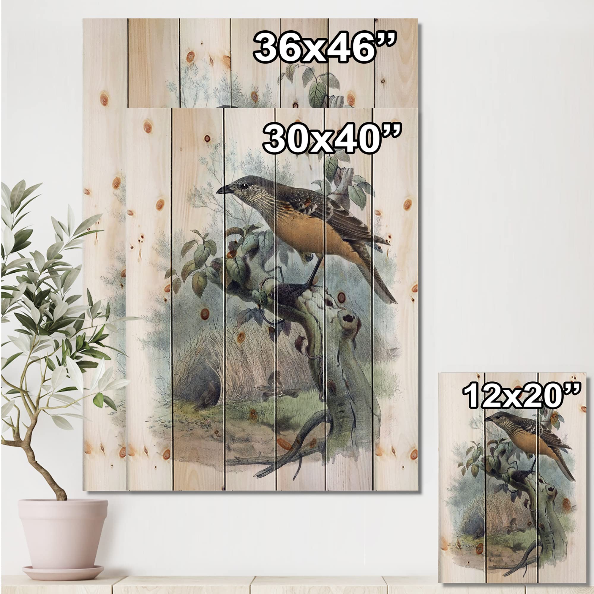 DesignQ Paradise Birds Traditional Wood Wall Decor - Blue Wood Wall Art, Large Animal Wood Panels Printed on Natural Pine - Perfect for Living Room, Bedroom & Office Decor