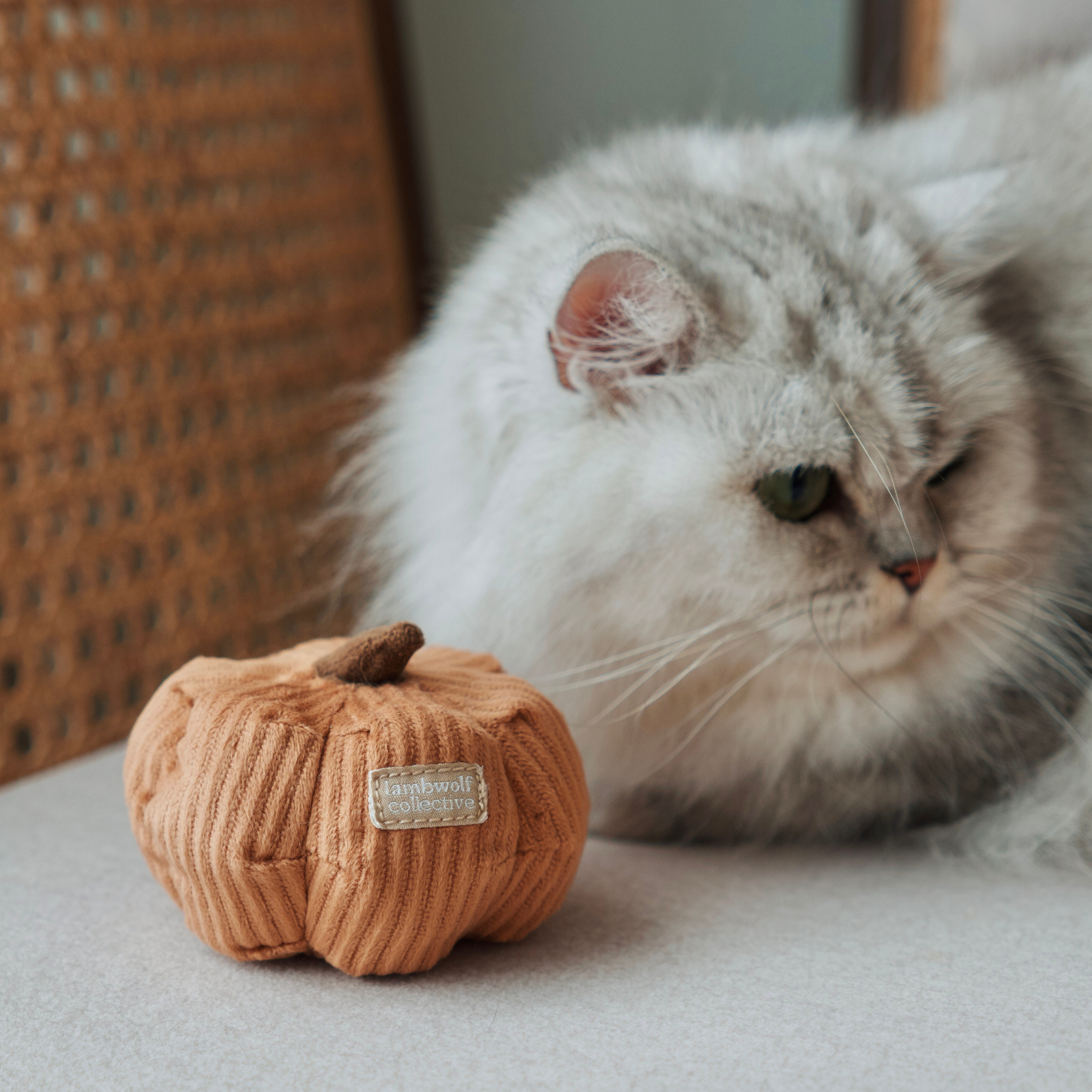 Organic Kitty Veggie Set - Healthy Cat Vegetable Treats for Indoor & Outdoor Cats - Perfect for Training, Rewards & Snack Time