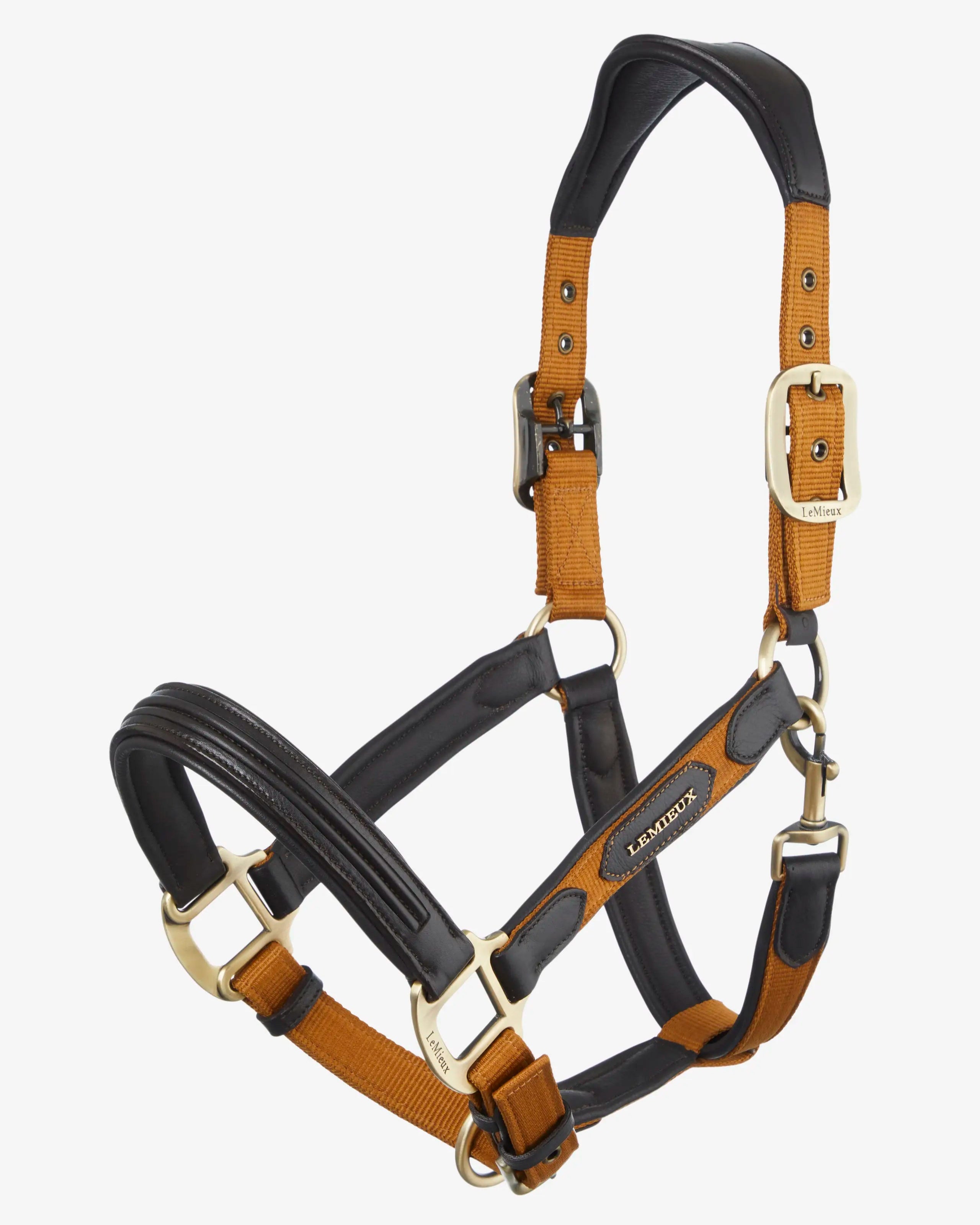 LeMieux Capella Halter - Breathable & Adjustable Horse Riding Halter for Training & Show - Perfect for Equestrian, Dressage & Trail Riding