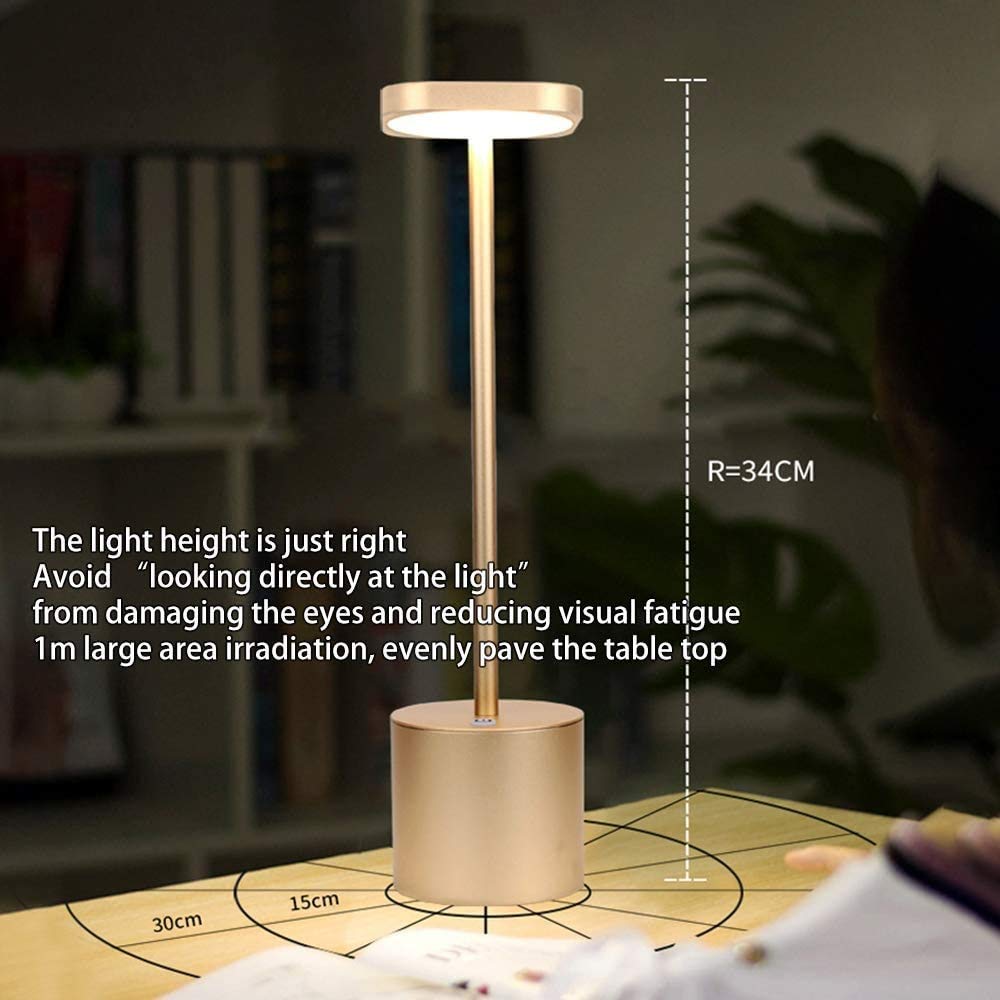Eye-Caring LED Desk Lamp with USB Charging Port & Touch Control - Dimmable Table Lamp for Office, Home, Study - No Strobe Reading Light (Silver Stainless Steel) | Perfect for Night Reading, Home Office Setup & Student Study Sessions