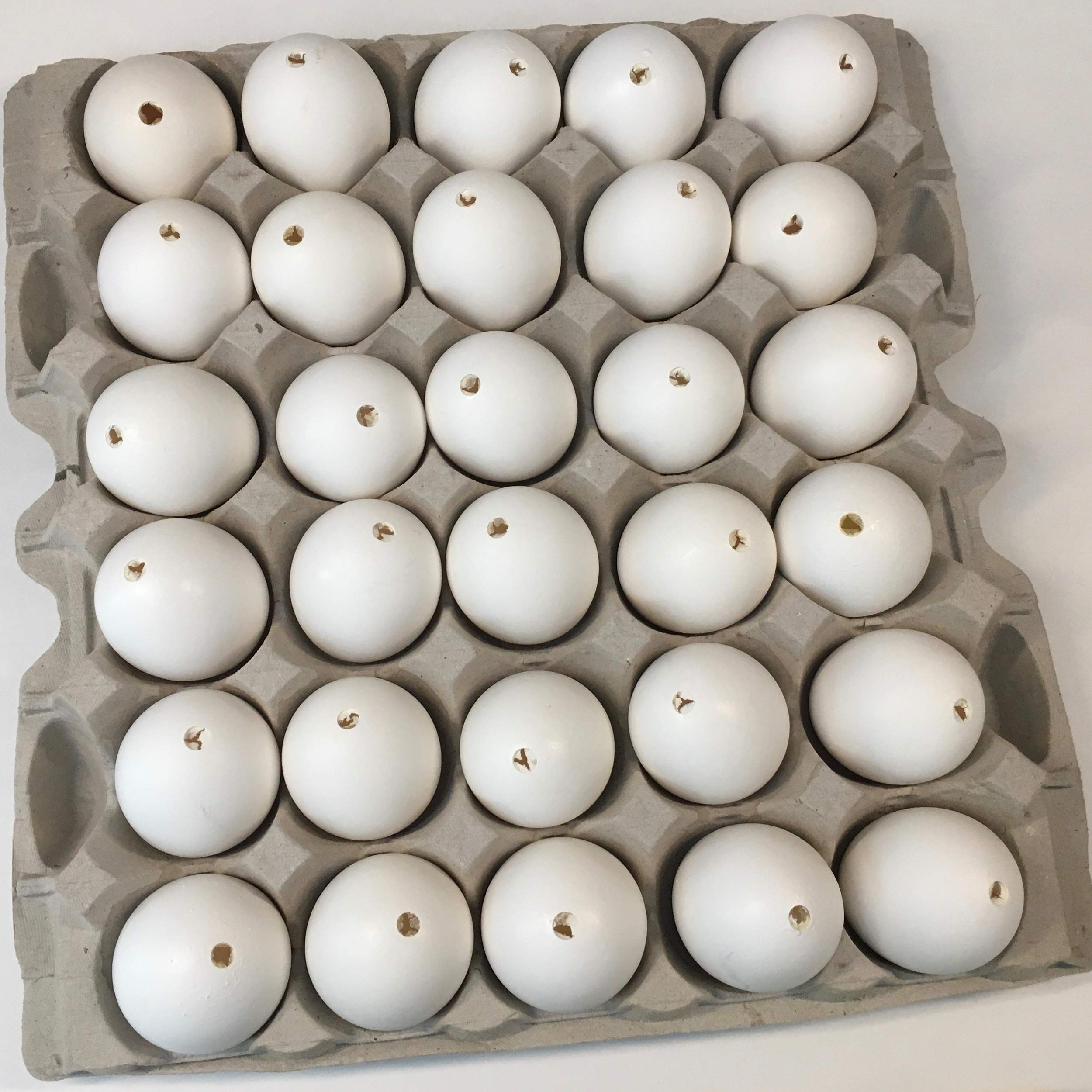 DAONEG 30 Large Blown Chicken Egg Shells - Save 2-3 Hours of Work & Reduce Mess - Perfect for Easter Decorations, DIY Crafts & Art Projects
