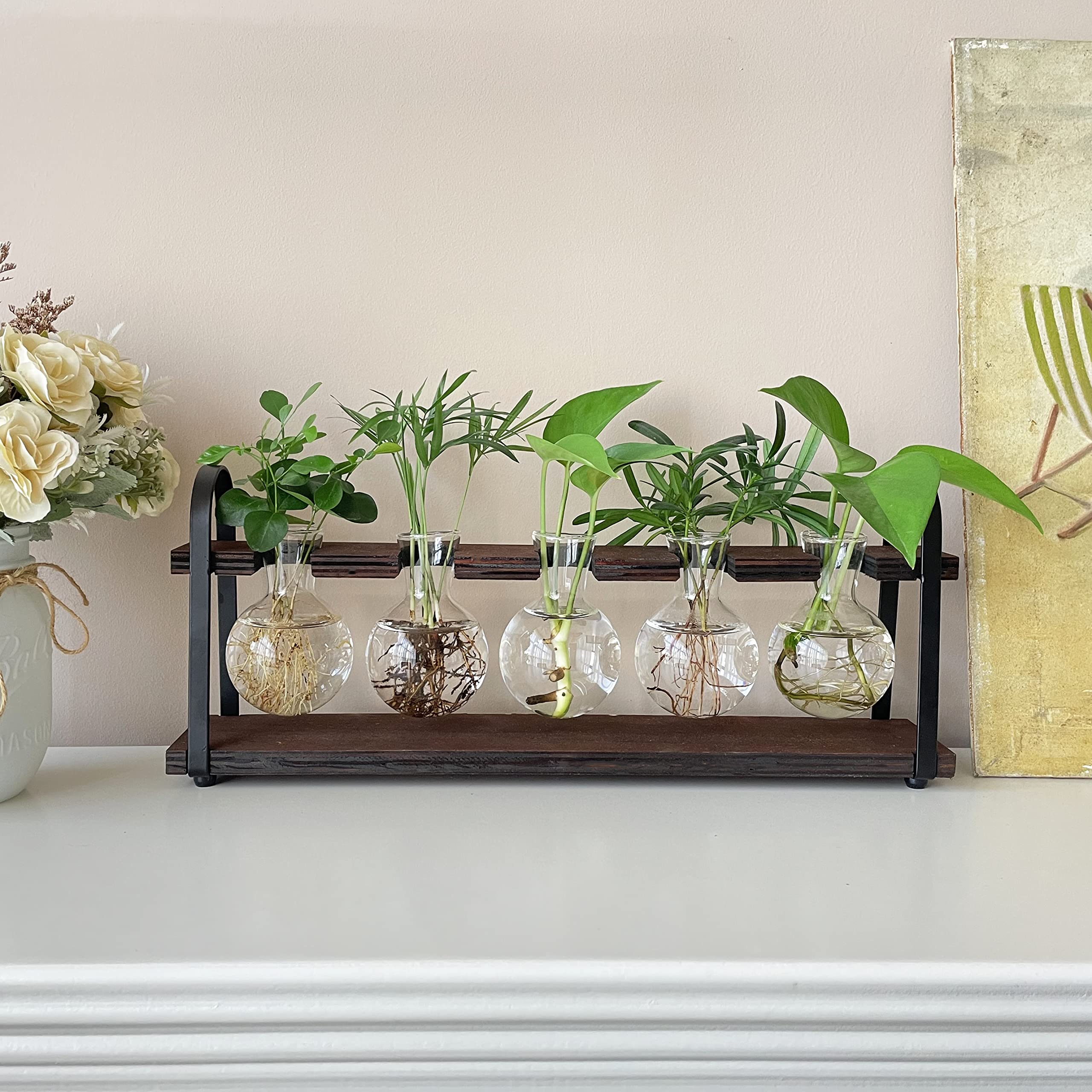 THYGIFTREE Plant Propagation Stations with Wooden Stand - Retro Glass Terrarium Bulb Vase for Indoor Hydroponic Flowers | Desktop Planter for Home Office Decor, Housewarming Gift for Plant Lovers (Perfect for Windowsills, Desks & Shelf Displays)