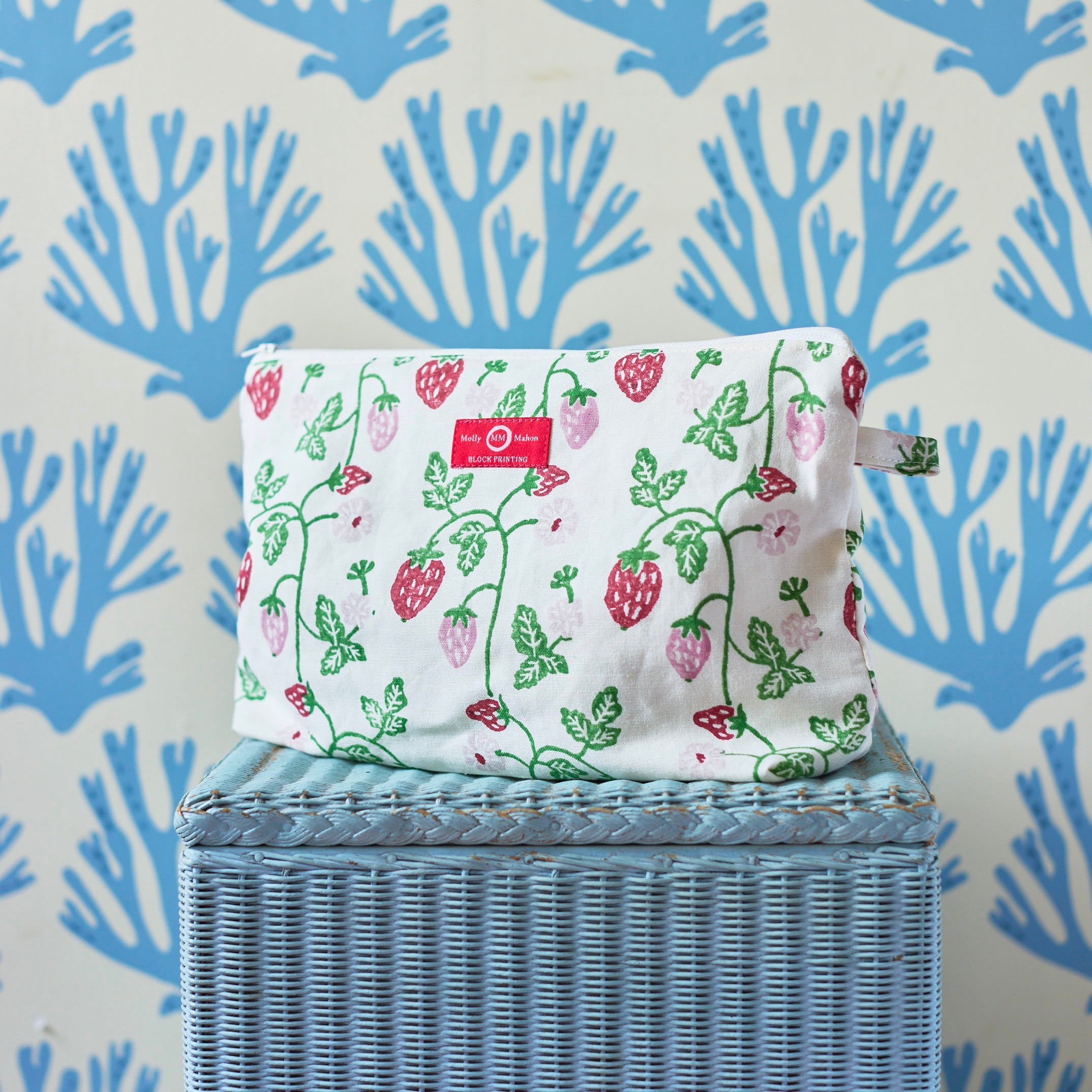 Strawberry Wash Bag - Laundry Mesh Bag for Delicates, Lingerie, Socks & Baby Clothes - Gentle Washing Protection for Travel & Home Use
