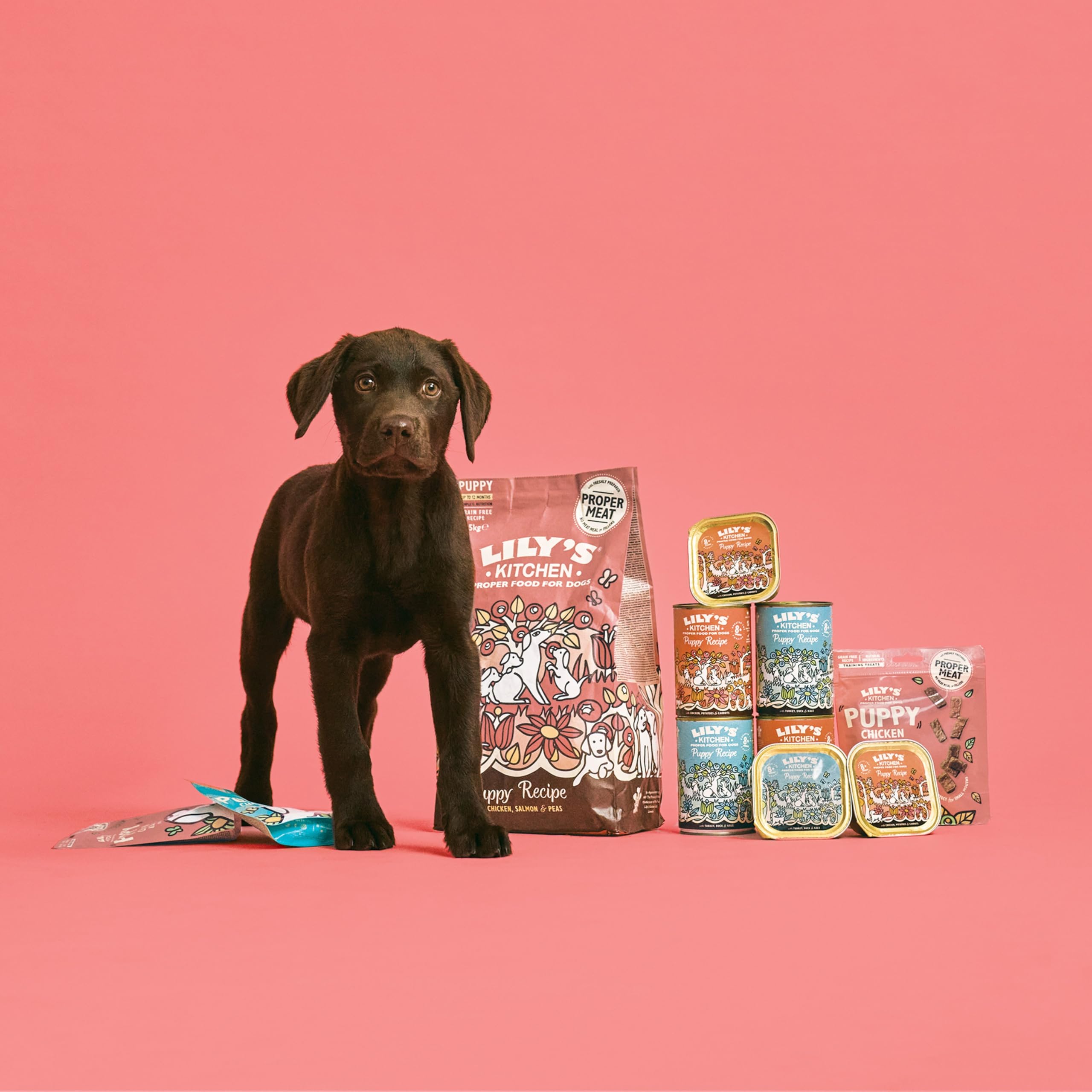Lily's Kitchen Organic Puppy Food 150g - Pack of 11 for Healthy Growth