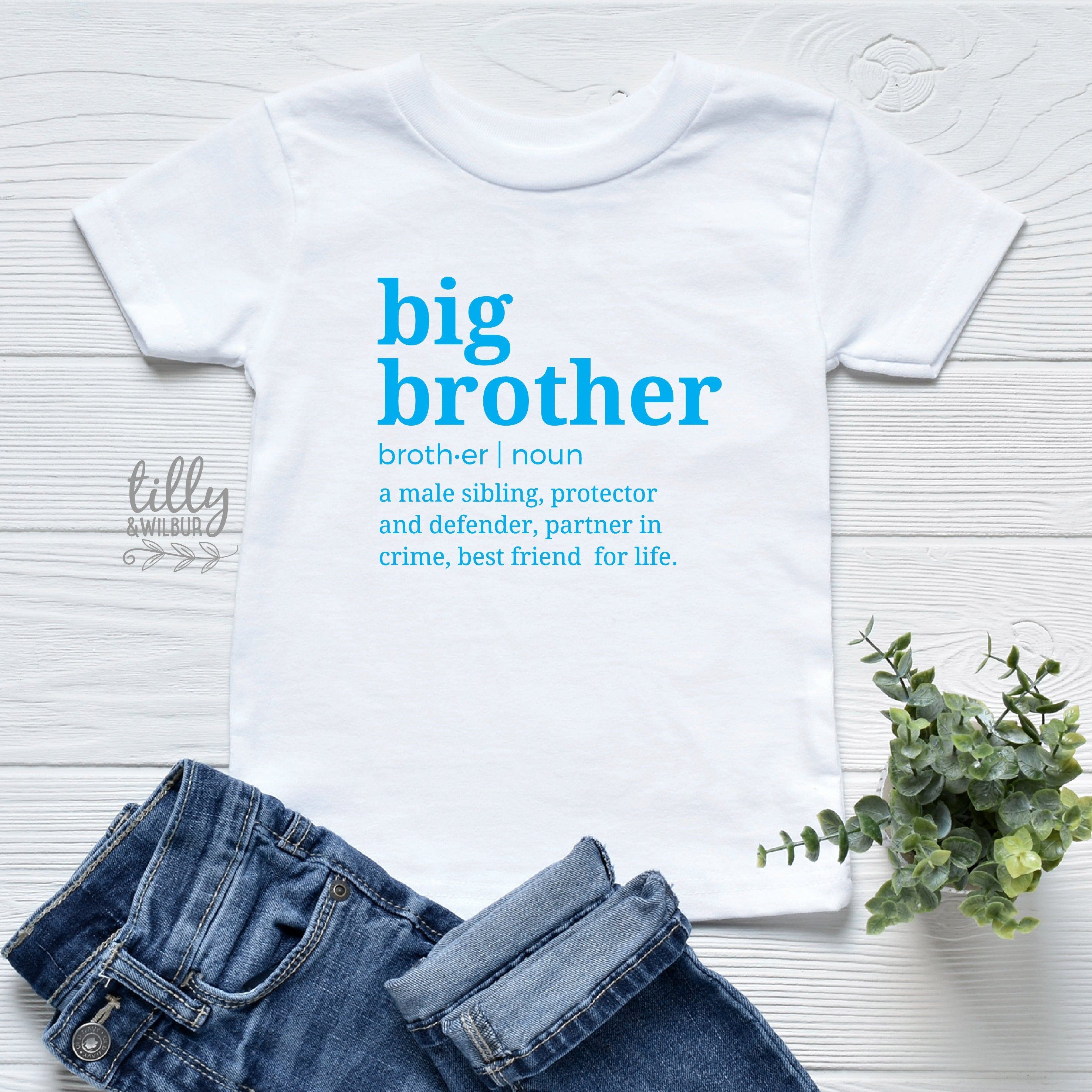 Big Brother Definition T-Shirt - Funny Slogan Tee for Men & Women - Perfect for Book Lovers, Dystopian Fans & Political Satire - Great Gift for Orwell Fans
