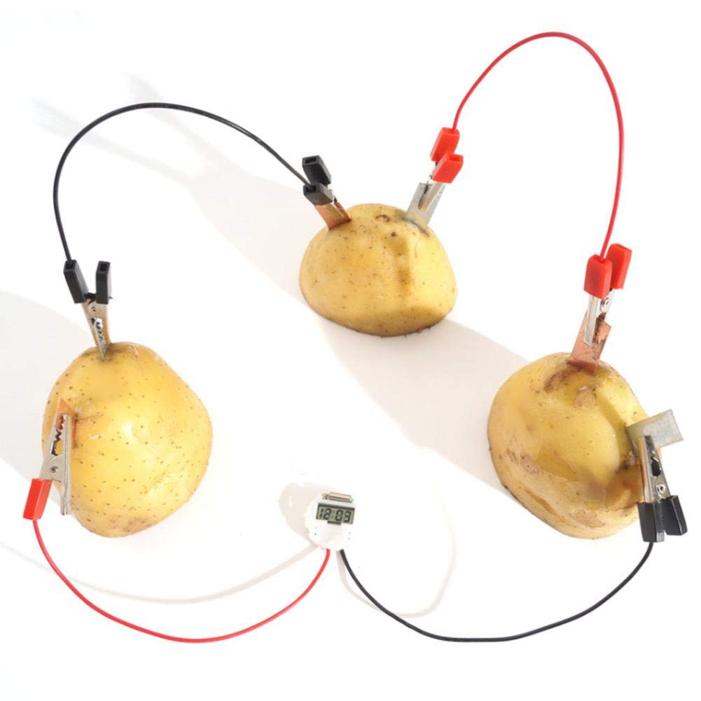 Bio Energy Science Toy Kit for Kids - Fun Potato & Fruit Electricity Experiments - STEM Educational Learning Toys for Home & Classroom Science Projects