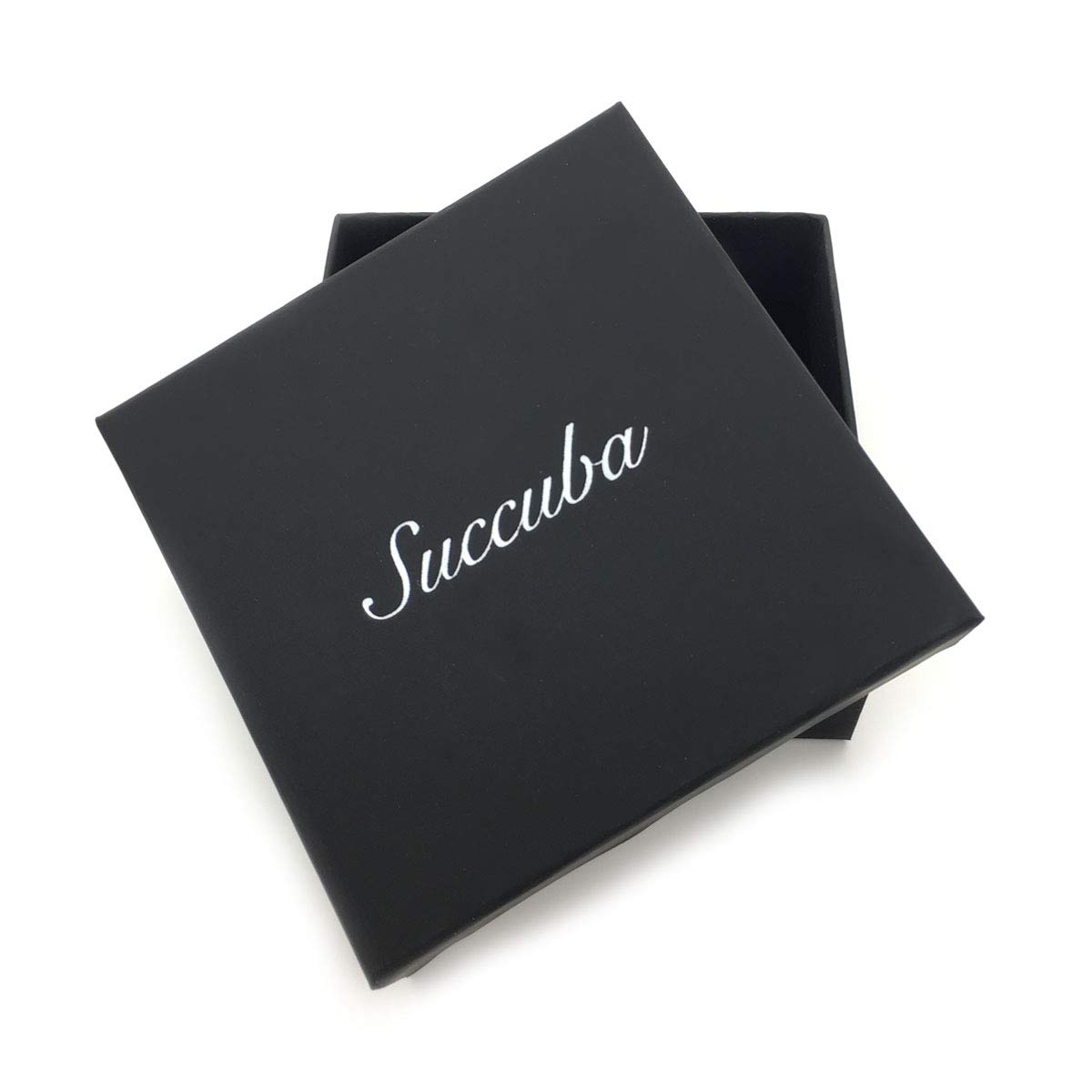 Succuba Padlock Necklace - Heart Lock Choker with Key & Box for Women, Men & Pets (16-22 Inch Adjustable) - Gothic Jewelry for Date Night, Cosplay & Fashion Accessories