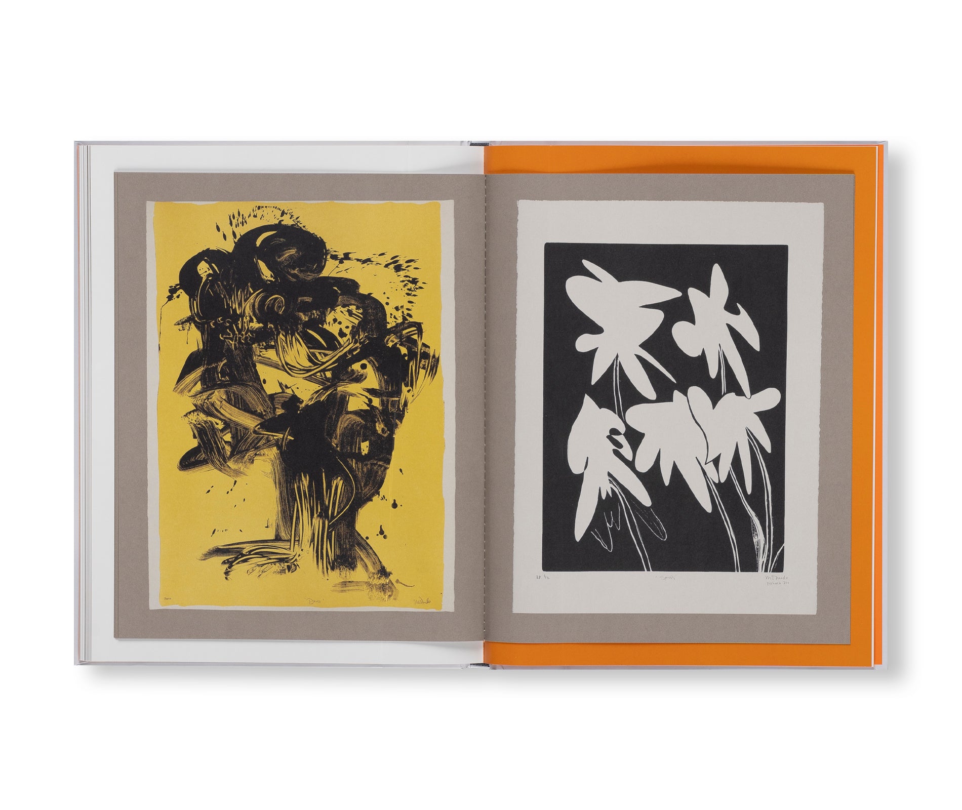 Magdalene Odundo: A Dialogue with Objects - Contemporary Ceramic Art Book by Renowned Potter | Perfect for Art Collectors, Studio Inspiration & Cultural Studies