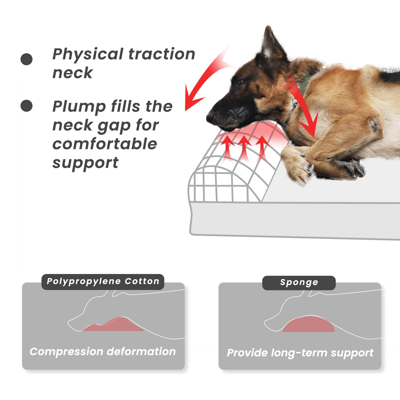 Orthopedic Memory Foam Dog Bed - Large, Waterproof & Washable for Big Dogs - Home Comfort