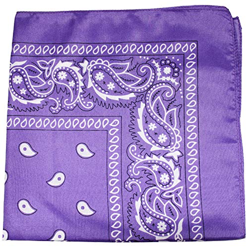 Paisley Purple