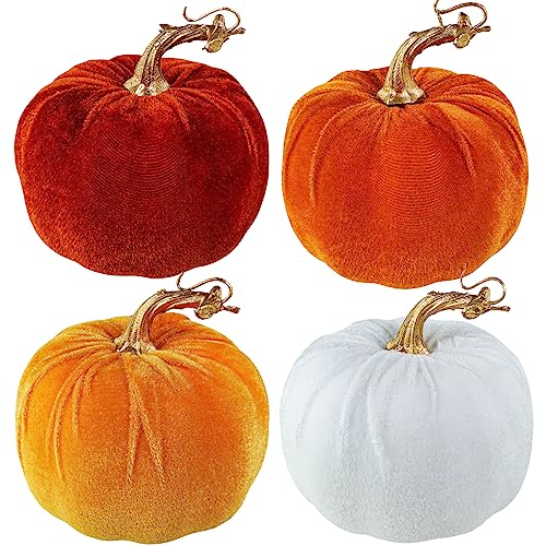 Orange and White
