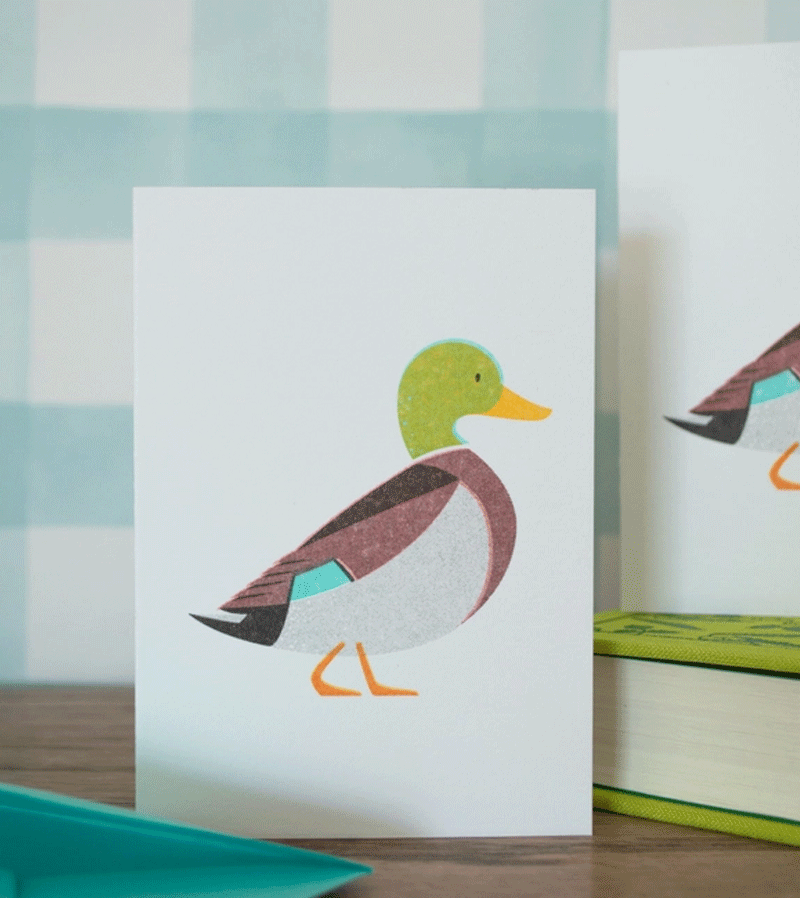 Bobbie Print Mallard Duck Mini Greeting Card - Perfect for Birthdays, Thank You Notes & Special Occasions
