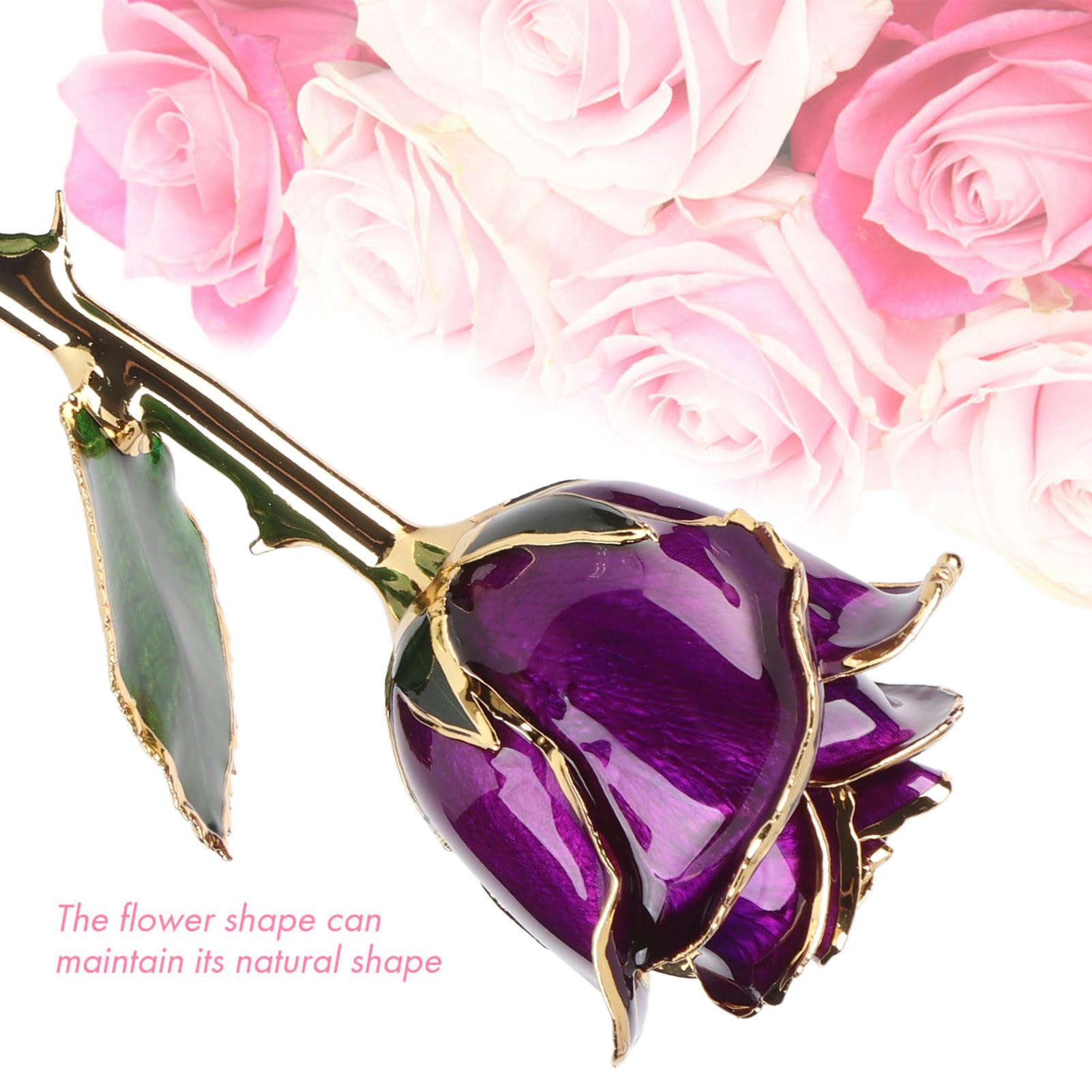 24K Gold Dipped Purple Preserved Rose in Glass Dome - Eternal Flower Gift for Wife, Mother, Girlfriend - Birthday, Christmas, Valentine's Day, Anniversary Present - Romantic Home Decor & Special Occasion Gift