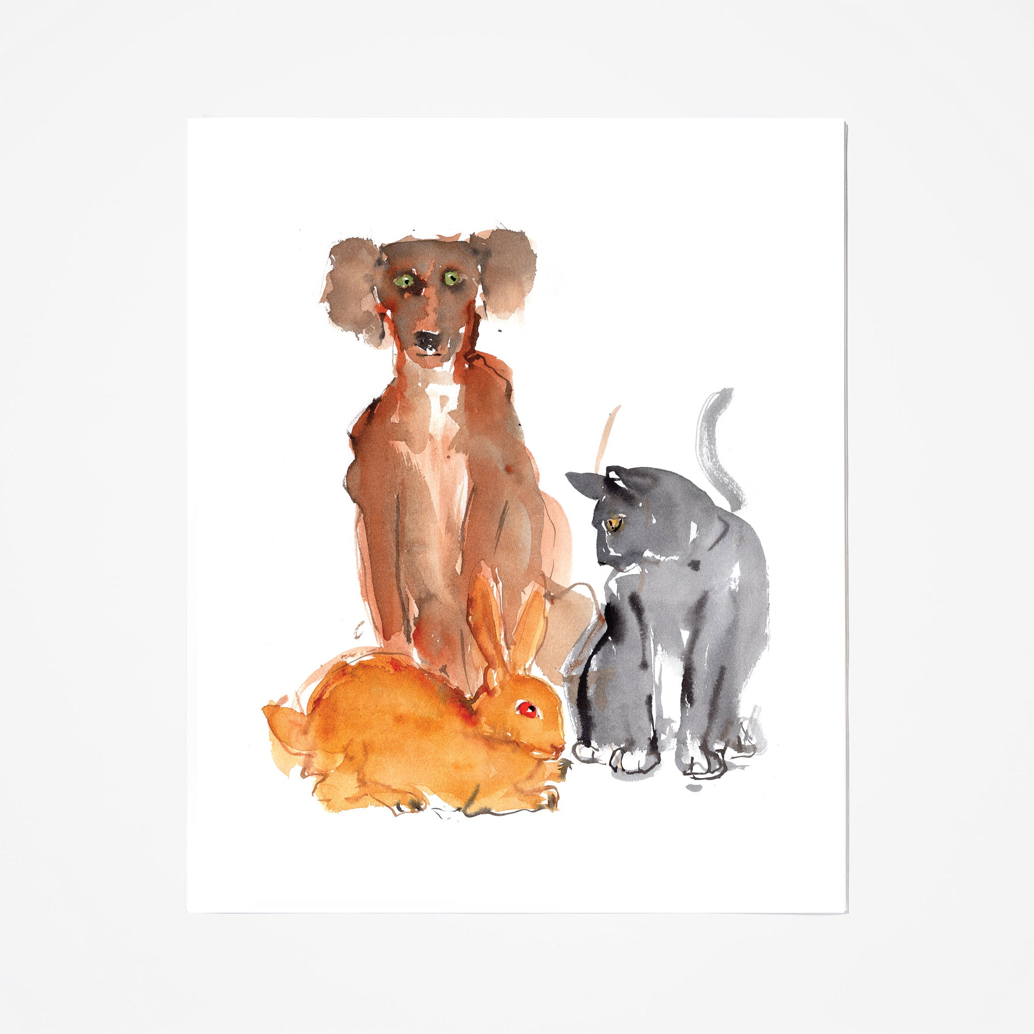 Pet Concerns - Premium Pet Care Products for Dogs, Cats & Small Animals | Grooming, Health & Wellness Supplies for Happy Pets at Home
