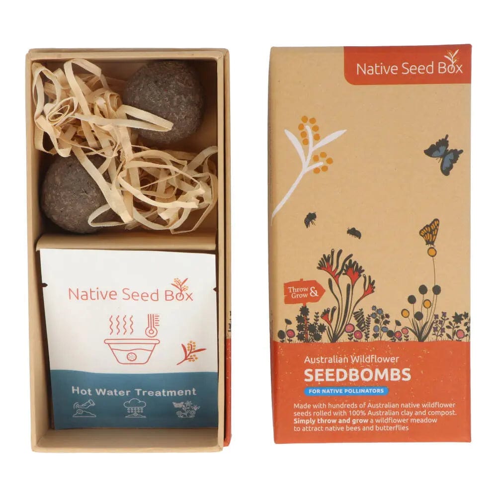 Native Seed Box Seed Bomb Collections - Wildflower & Herb Seed Bombs for Eco-Friendly Gardening, Pollinator Gardens & DIY Landscaping