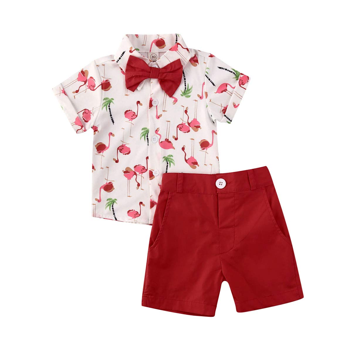 Boys Summer Outfits 2Pcs Set - Short Sleeve Shirt & Shorts for Toddlers | Playtime & Outdoor