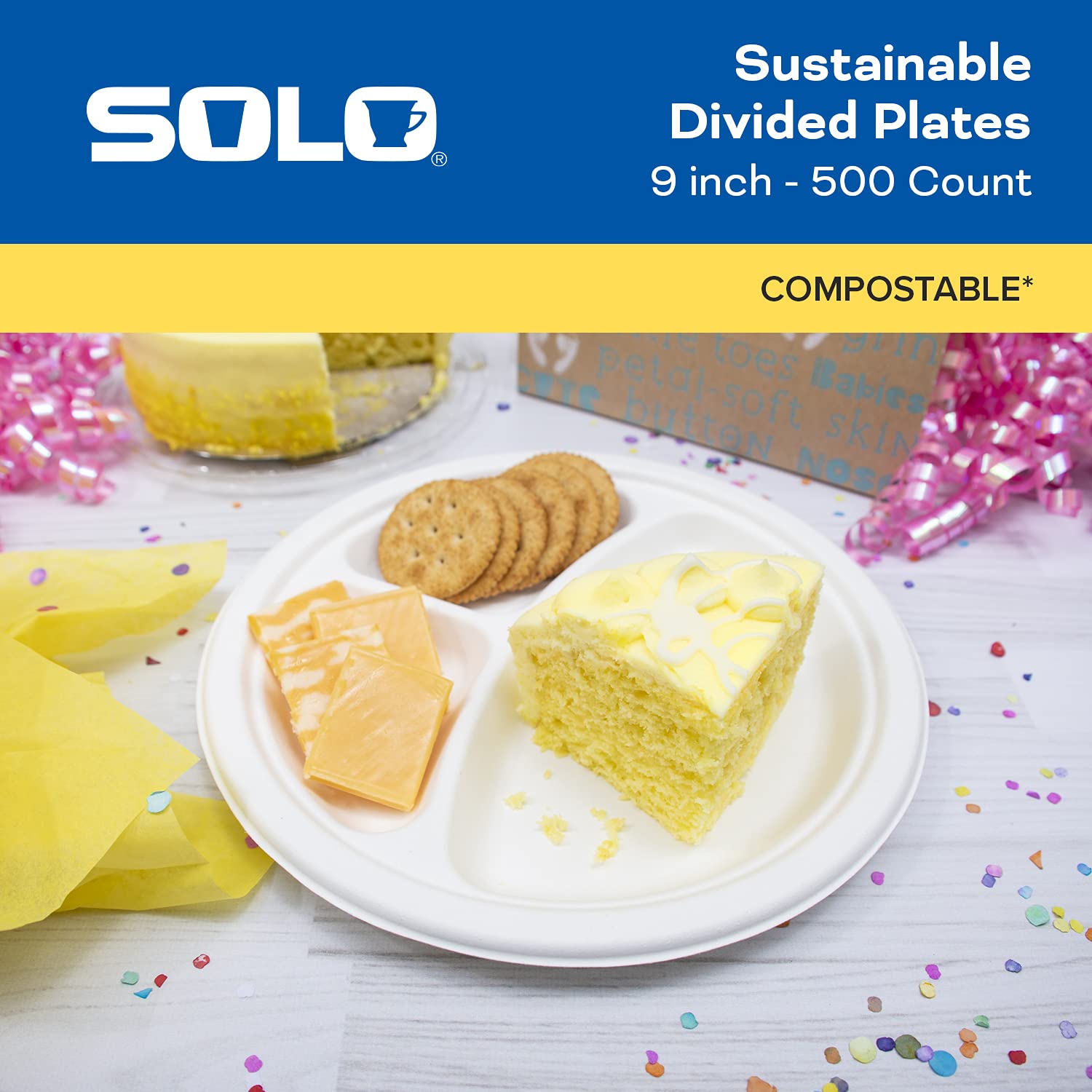 SOLO Bare Eco-Friendly 9-Inch Plant-Based Sugarcane Fiber Round Divided Plates (4 Packs of 125, 500 Plates Total) - Biodegradable Disposable Dinnerware for Parties, Picnics & Eco-Conscious Events