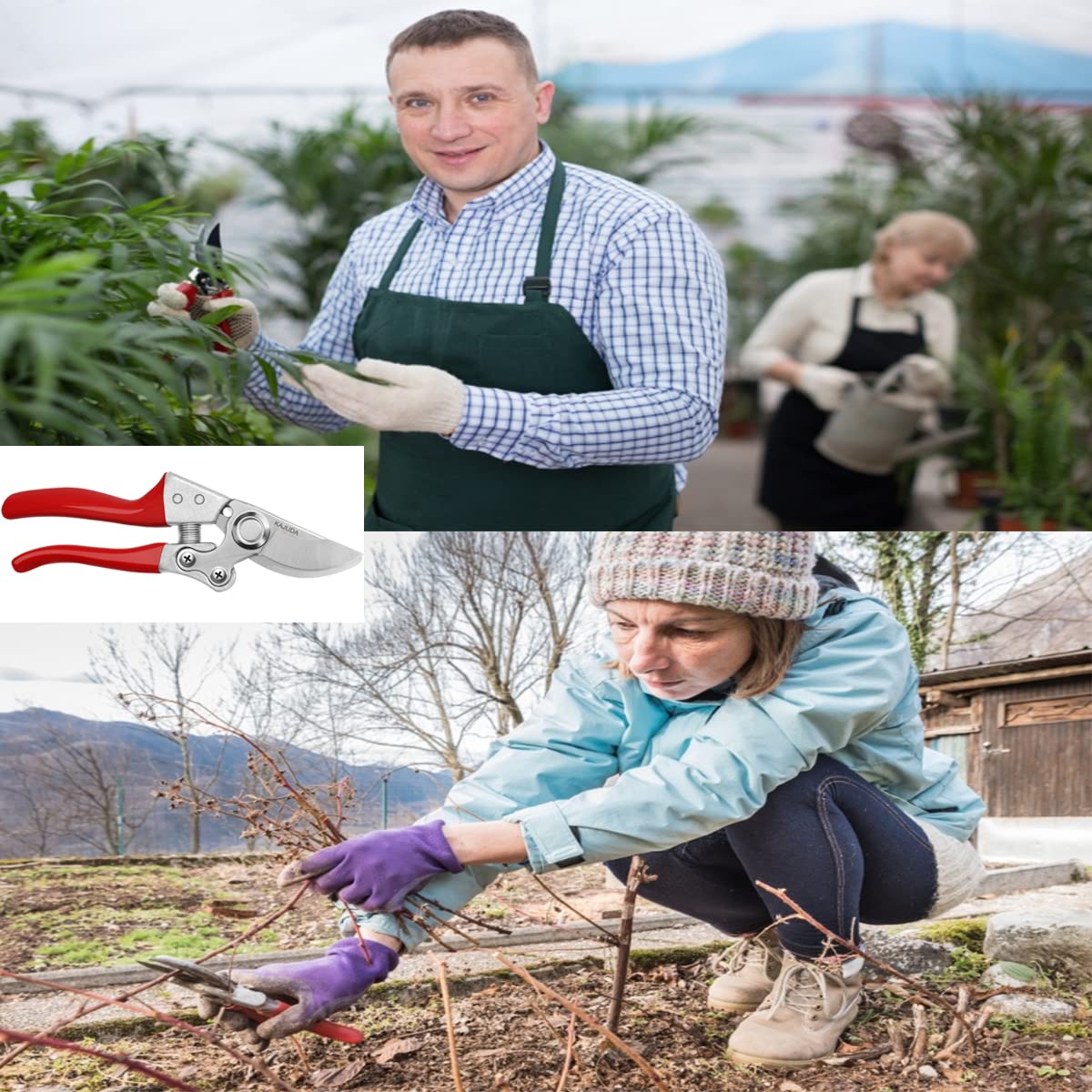 KAJUDA Professional Garden Shears - Sharp Pruning Clippers & Hand Pruners for Plants, Flowers, Branches | Heavy Duty Gardening Scissors, Florist Trimming Shears | Perfect for Home Garden, Landscaping, Florist Work & Outdoor Plant Care