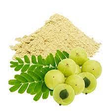 Jai-Son Herbals Neem & Amla Powder - Natural Face Pack for Acne & Pimples, Hair Pack for Dry Frizzy Hair | 100g x 3 Pack | Organic Skin Cleanser & Hair Treatment for Glowing Skin & Healthy Hair | Perfect for Daily Skincare & Haircare Routine