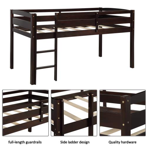 Twin Size Loft Bed with Guard Rail & Ladder - Sturdy Wooden Bunk Bed Frame for Kids & Teens - No Box Spring Needed - Espresso Finish - Perfect for Small Bedrooms, Guest Rooms & Dorm Rooms
