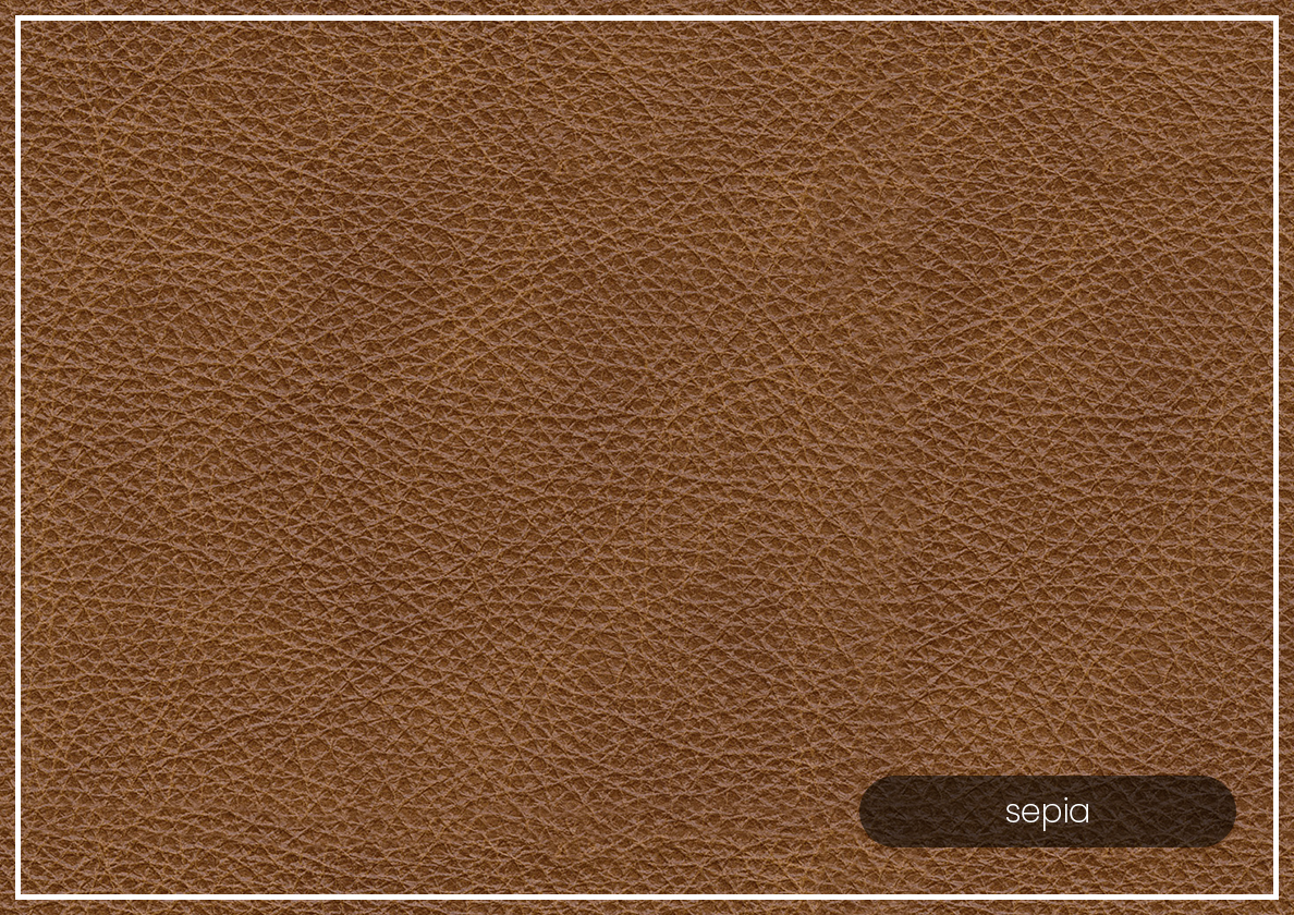 Gio Italia Crescentia Brown Leather 3-Seater Sofa - Luxurious Genuine Leather Couch for Living Room, Lounge & Office