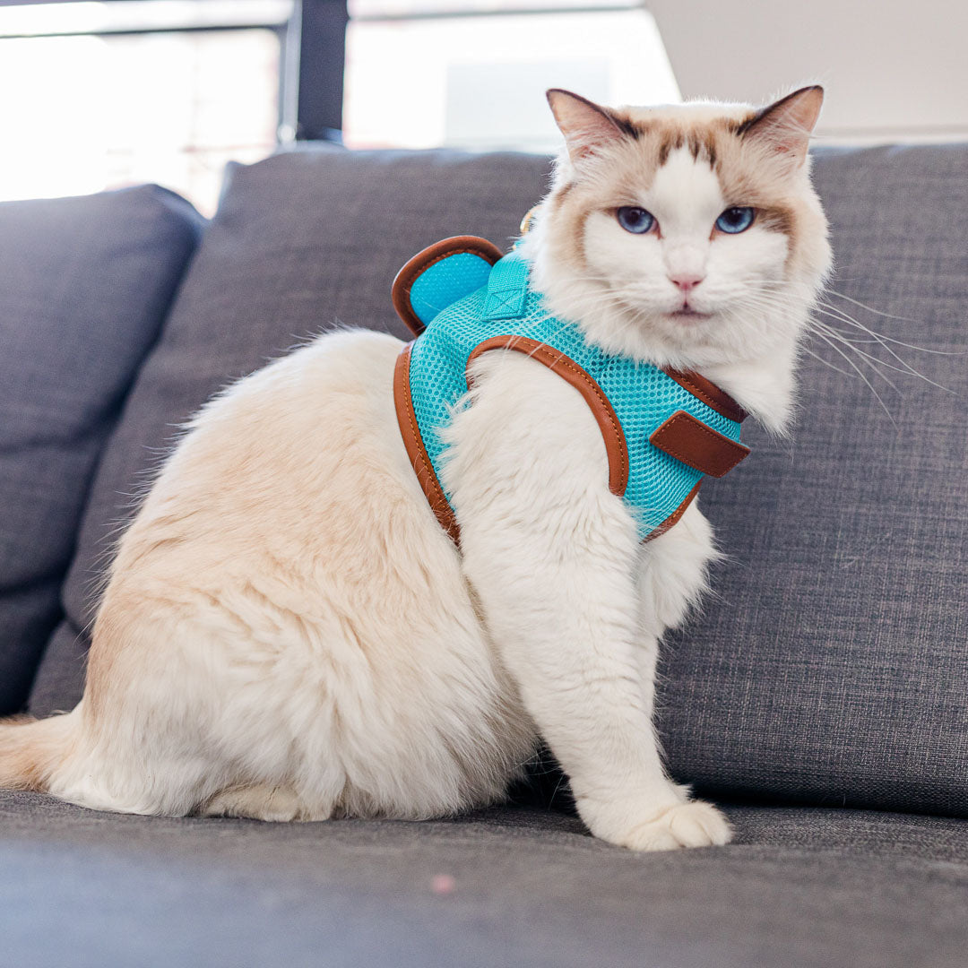 Sky Blue Cat Harness with Tan Trim - Adjustable & Escape-Proof Pet Vest for Safe Outdoor Adventures - Perfect for Walking, Hiking & Travel