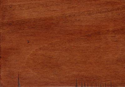 Burnt Sienna