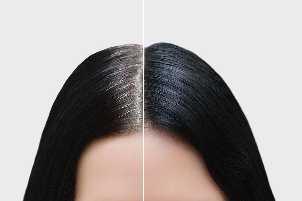 Organic Indigo Powder for Hair - Natural Black Hair Dye & Hair Growth Treatment | Prevents Hair Fall & Strengthens Hair | 100% Pure Hair Conditioner for Darker, Healthier Hair - 100g (Pack of 2) | Perfect for At-Home Hair Coloring & Natural Hair Care Routine