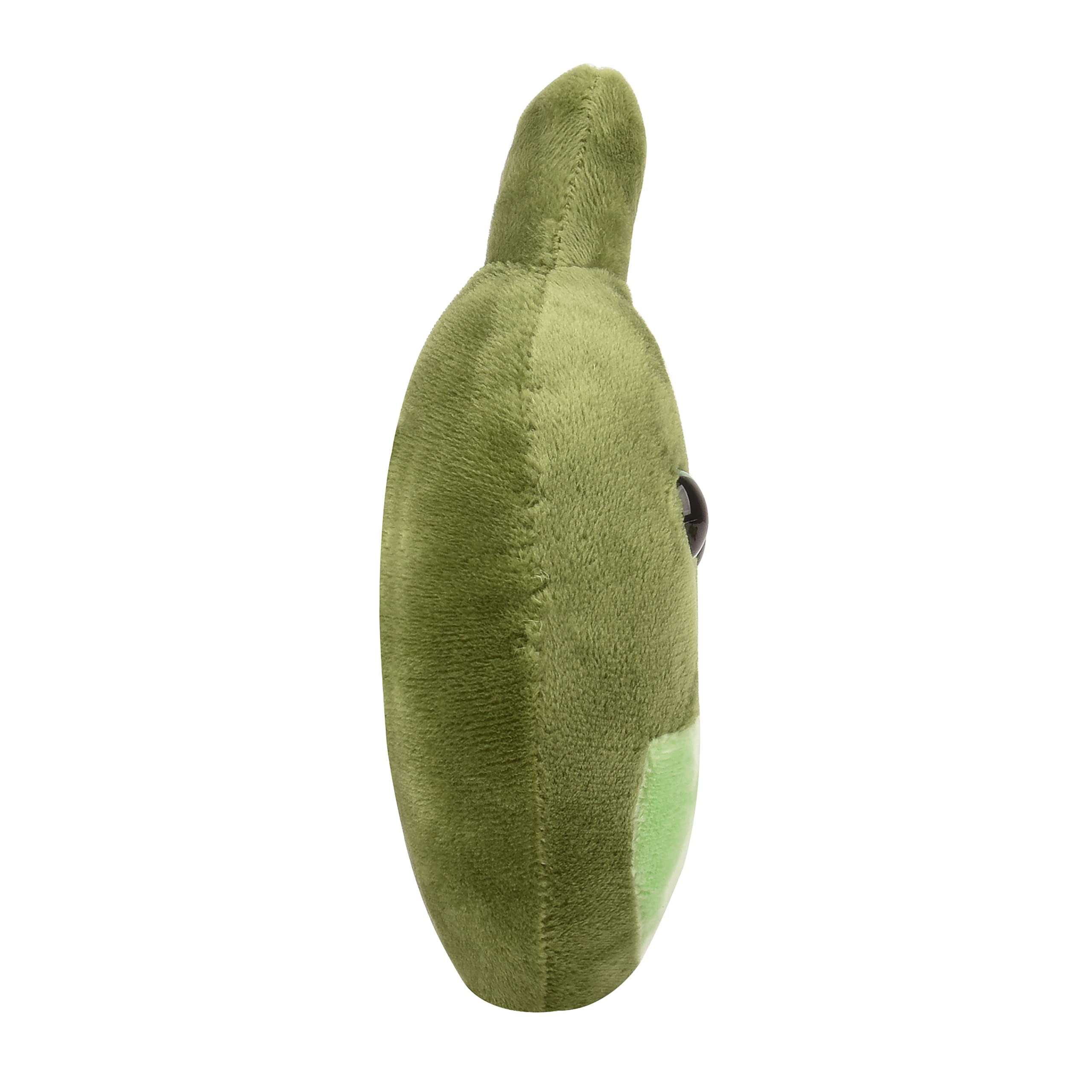 GIANTmicrobes Gallbladder Plush - Cute Biology Stuffed Animal Organ Toy, Perfect Get Well Gift for Gallbladder Surgery Recovery & Gastroenterology Enthusiasts | Great Hospital Gift & Science Education Tool for Kids & Adults