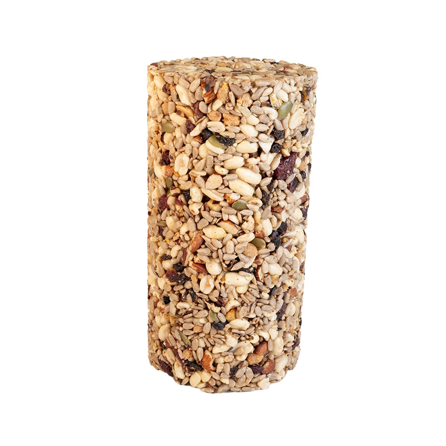 Hi Energy Woodpecker Seed Cylinder for Wild Birds - Small Size | Nutritious Bird Food for Backyard Feeders & Outdoor Bird Watching