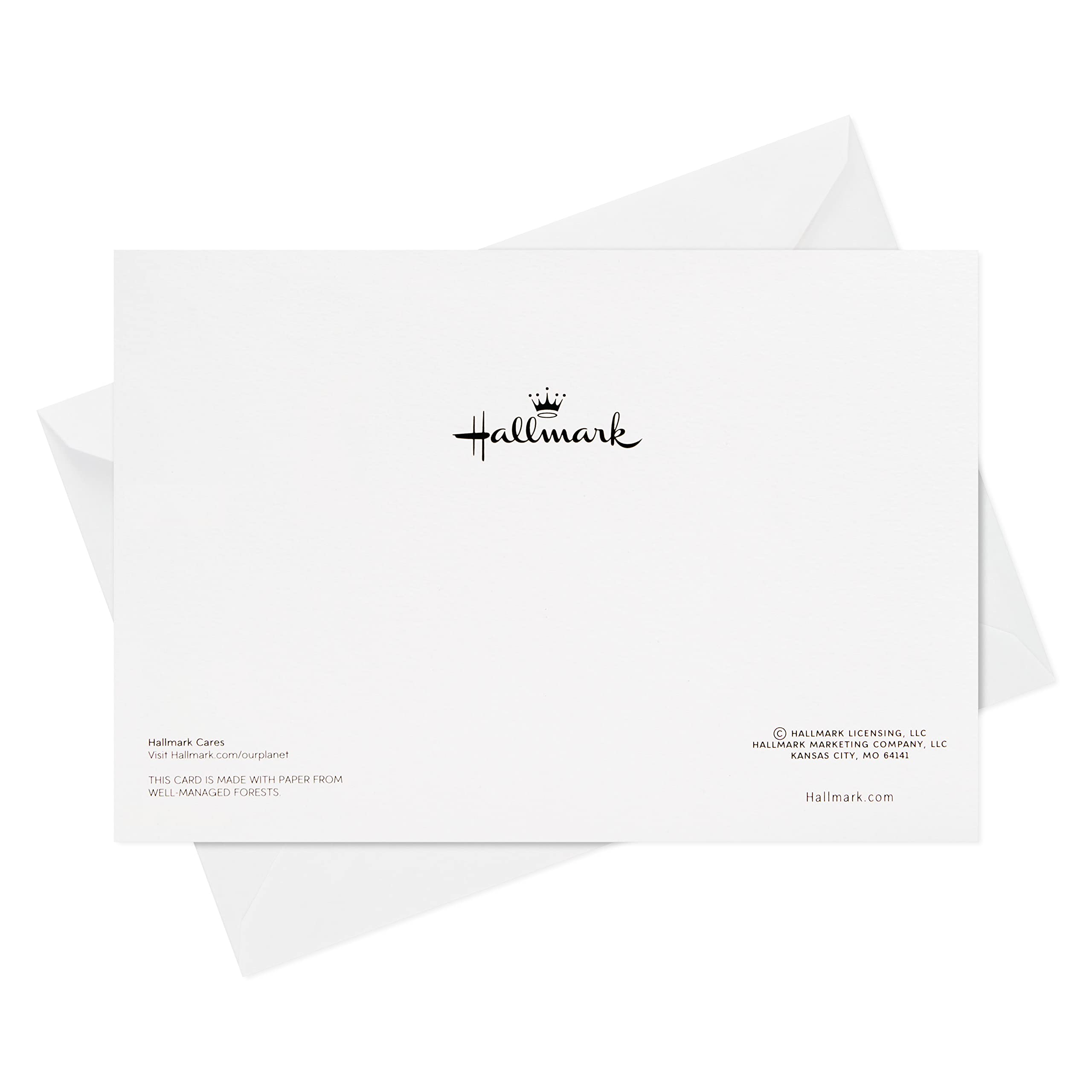 Hallmark Holiday Greeting Cards - Ice Skating Design (40 Cards with Envelopes) for Christmas, Winter Celebrations & Festive Wishes