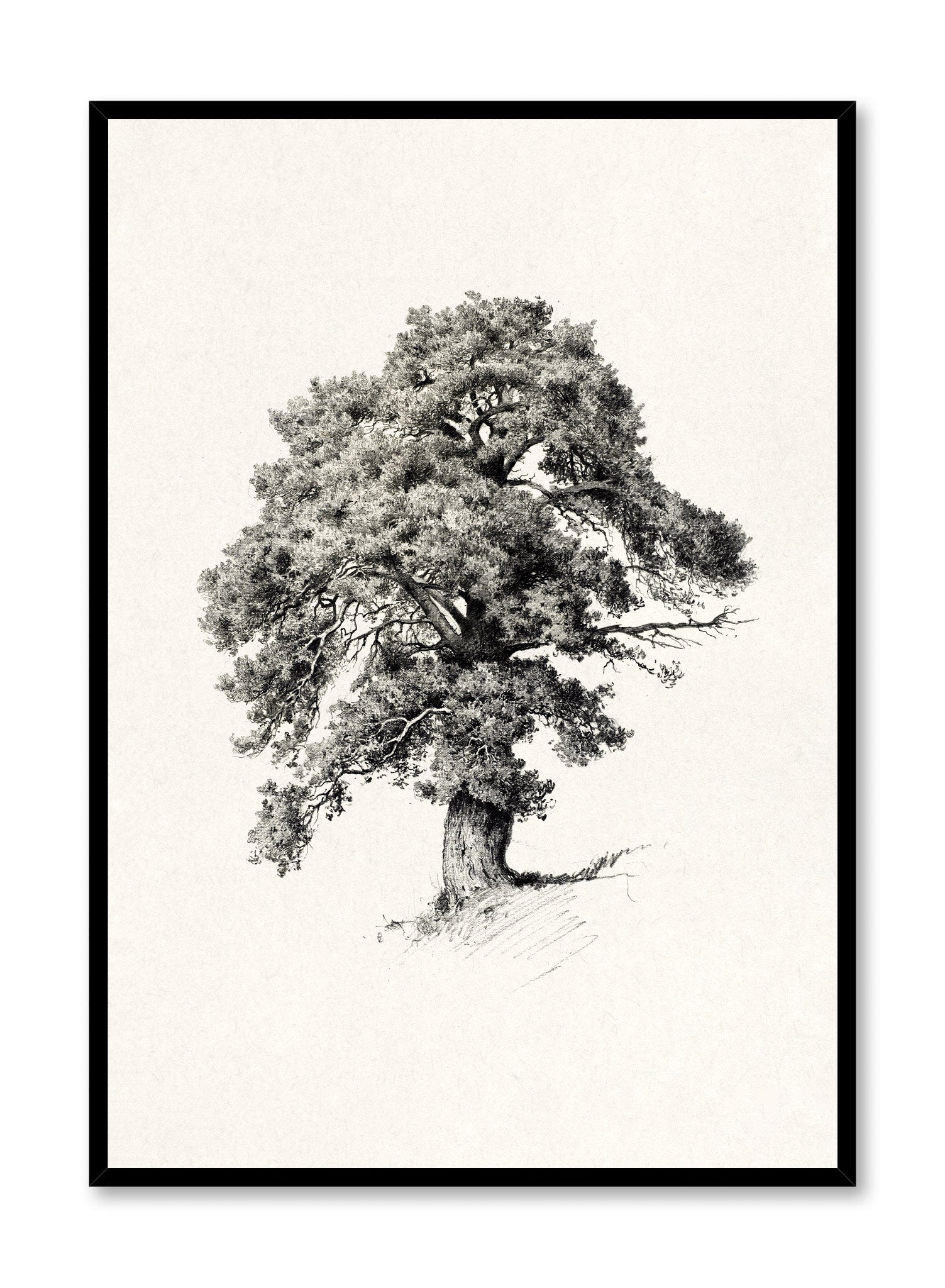 Mighty Tree Wall Art Poster - Nature Inspired Decor for Living Room, Bedroom & Office - Perfect for Home & Office Decoration