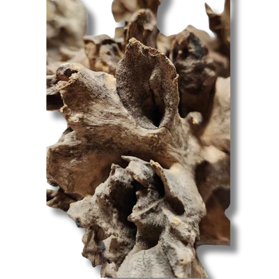 Natural Coral Wood Small Decorative Pieces 10-15cm - Perfect for Home Decor, Aquariums, and DIY Crafts