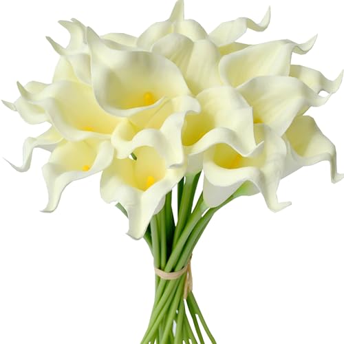 Cream