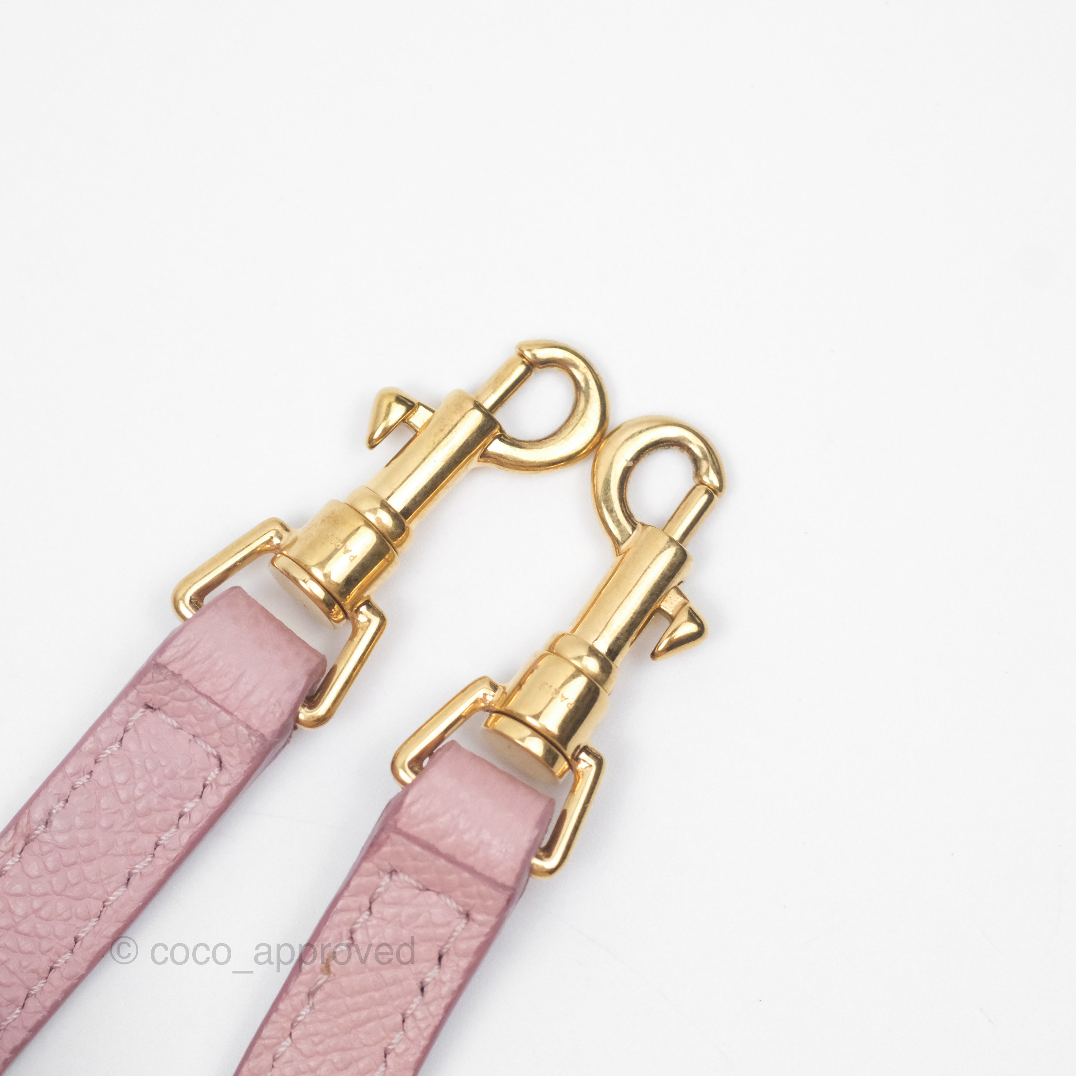 Celine Nano Belt Bag in Pink Grained Calfskin with Gold Hardware - Perfect for Everyday Use, Work & Travel