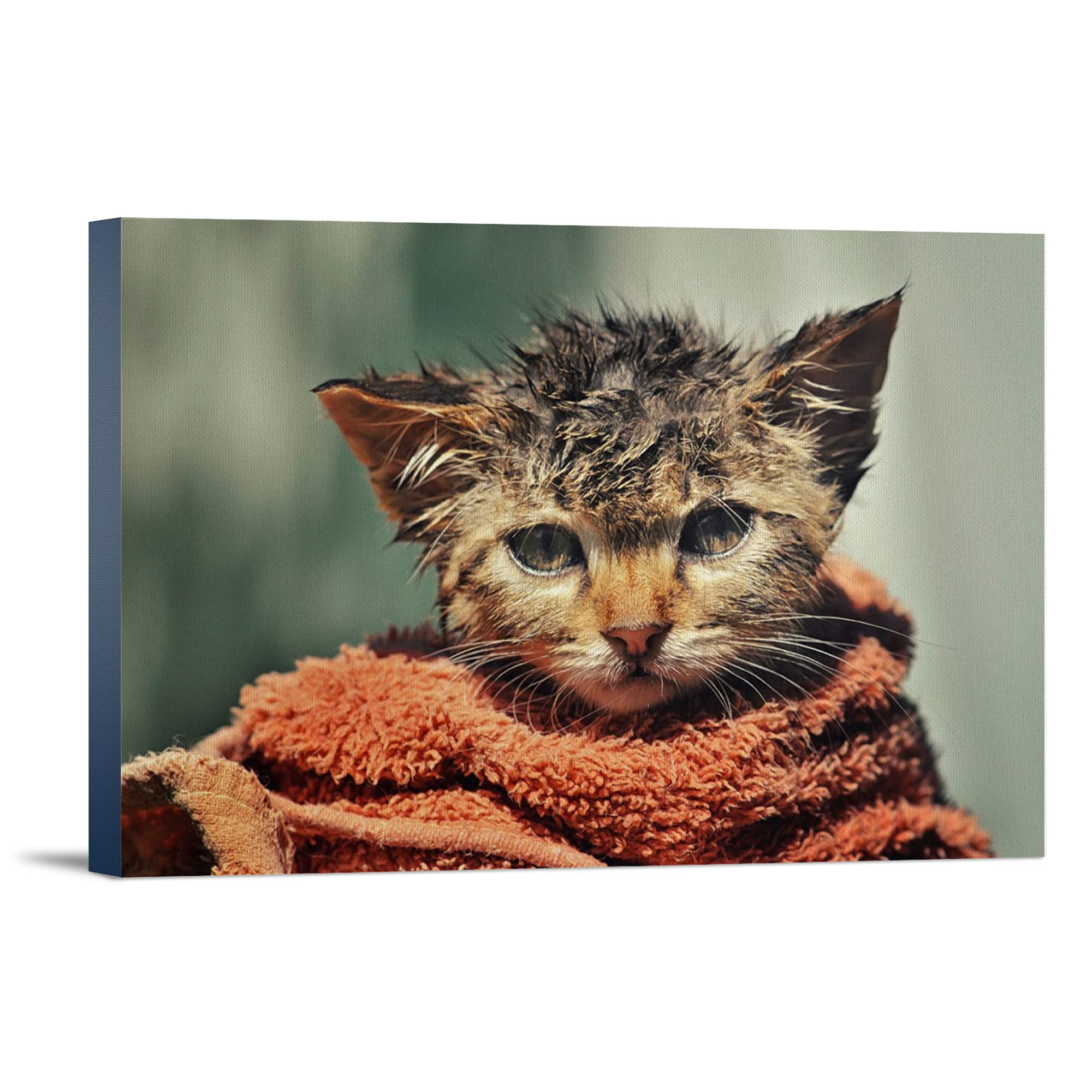 Wet Cat Wrapped in Towel - 36x24 Inch Gallery Wrapped Canvas Wall Art - Perfect for Living Room, Bedroom & Office Decor