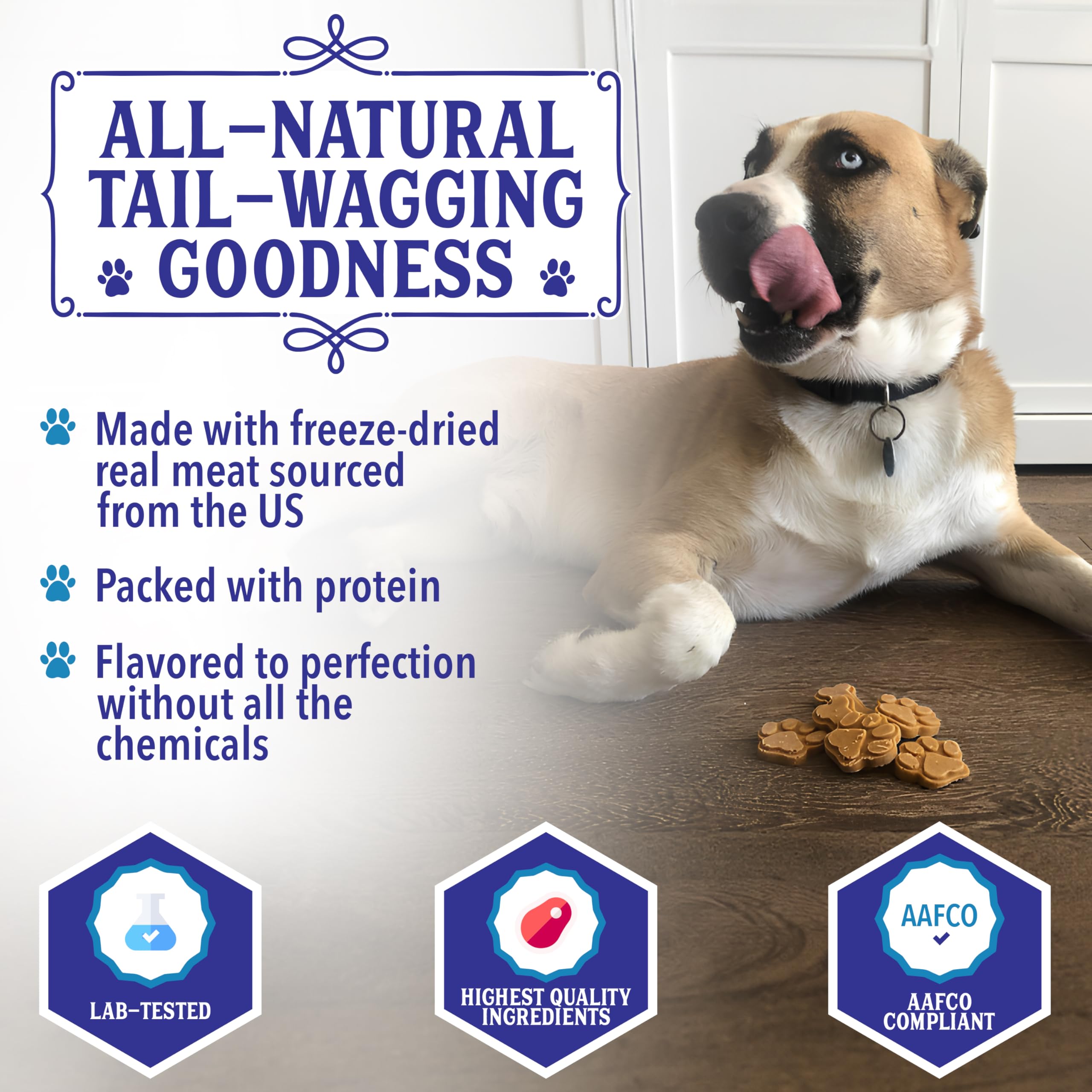 Cooper's Treats Pupsicle Mix - DIY Frozen Dog Treats Kit - 4.3oz Beef & Cheddar Flavor - Refill Pack for Homemade Pup Ice Cream & Summer Cooling Snacks - Perfect for Hot Days, Training Rewards & Dog Birthday Parties