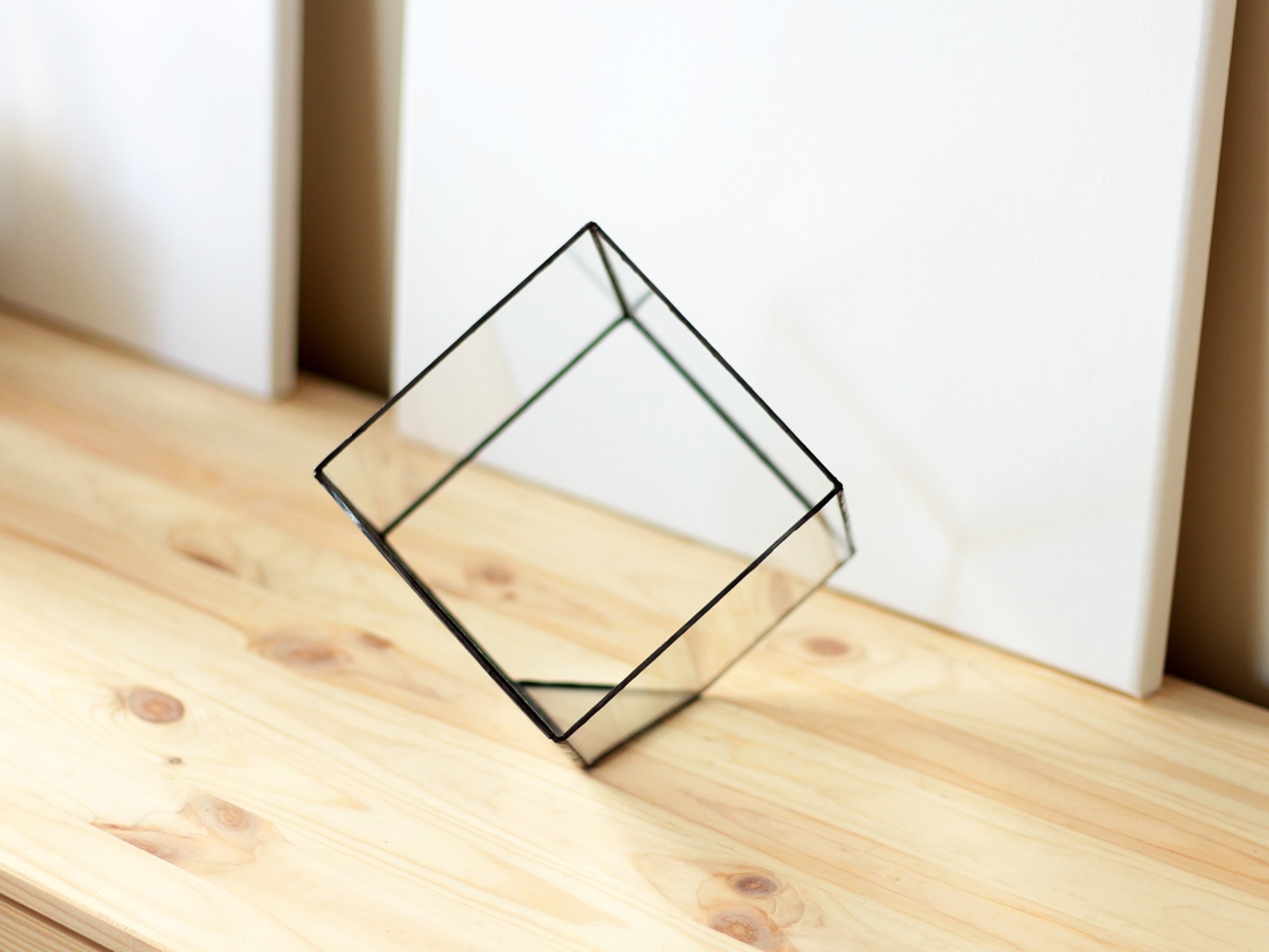 Waen Geometric Glass Terrarium - Medium Cube Planter for Succulents & Air Plants (Copper, Silver, Black) | Modern Home Decor, Office Desk Display & Wedding Centerpiece