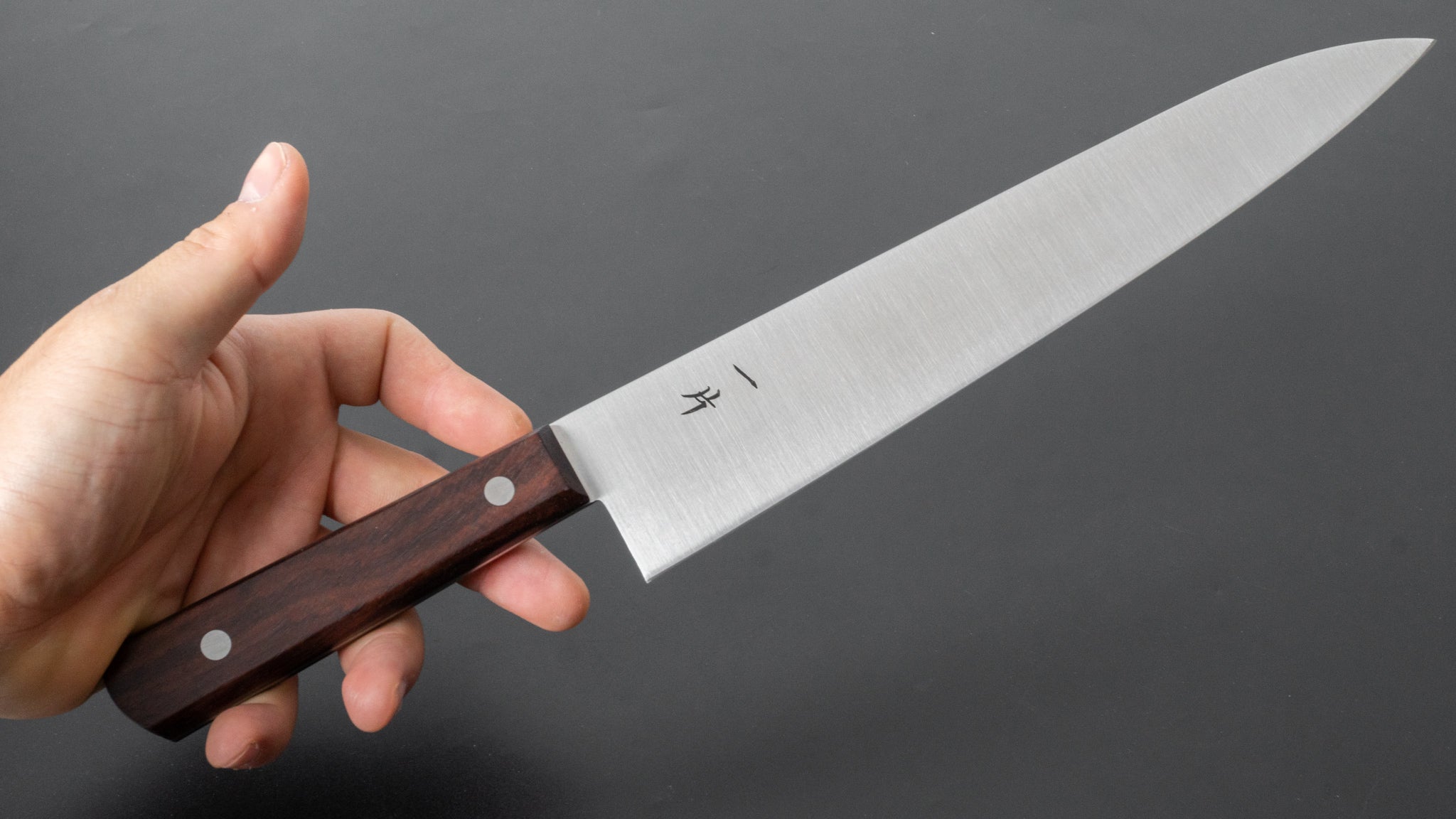 Hitohira Vintage SKD Gyuto 240mm Japanese Chef Knife with Rosewood Handle - No Bolster - High Carbon Steel Kitchen Knife for Professional Chefs & Home Cooking