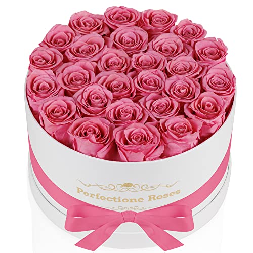 27 Roses | Pink
