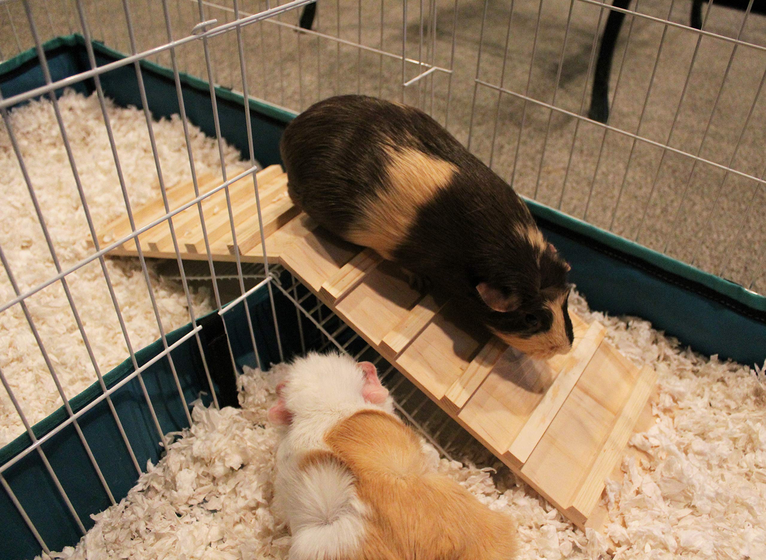 Small Animal Wooden Bridge for Guinea Pigs, Ferrets, Chinchillas, Hedgehogs & Dwarf Rabbits - Natural Wood Habitat Accessory for Cages & Play Areas - Perfect for Climbing, Exercise & Enrichment