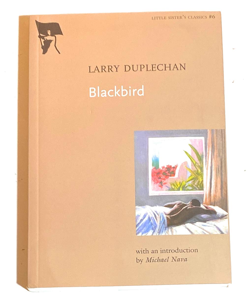 Blackbird (Little Sister's Classics) - Classic Children's Book for Bedtime Stories & Early Reading | Perfect Gift for Kids' Library & Family Storytime